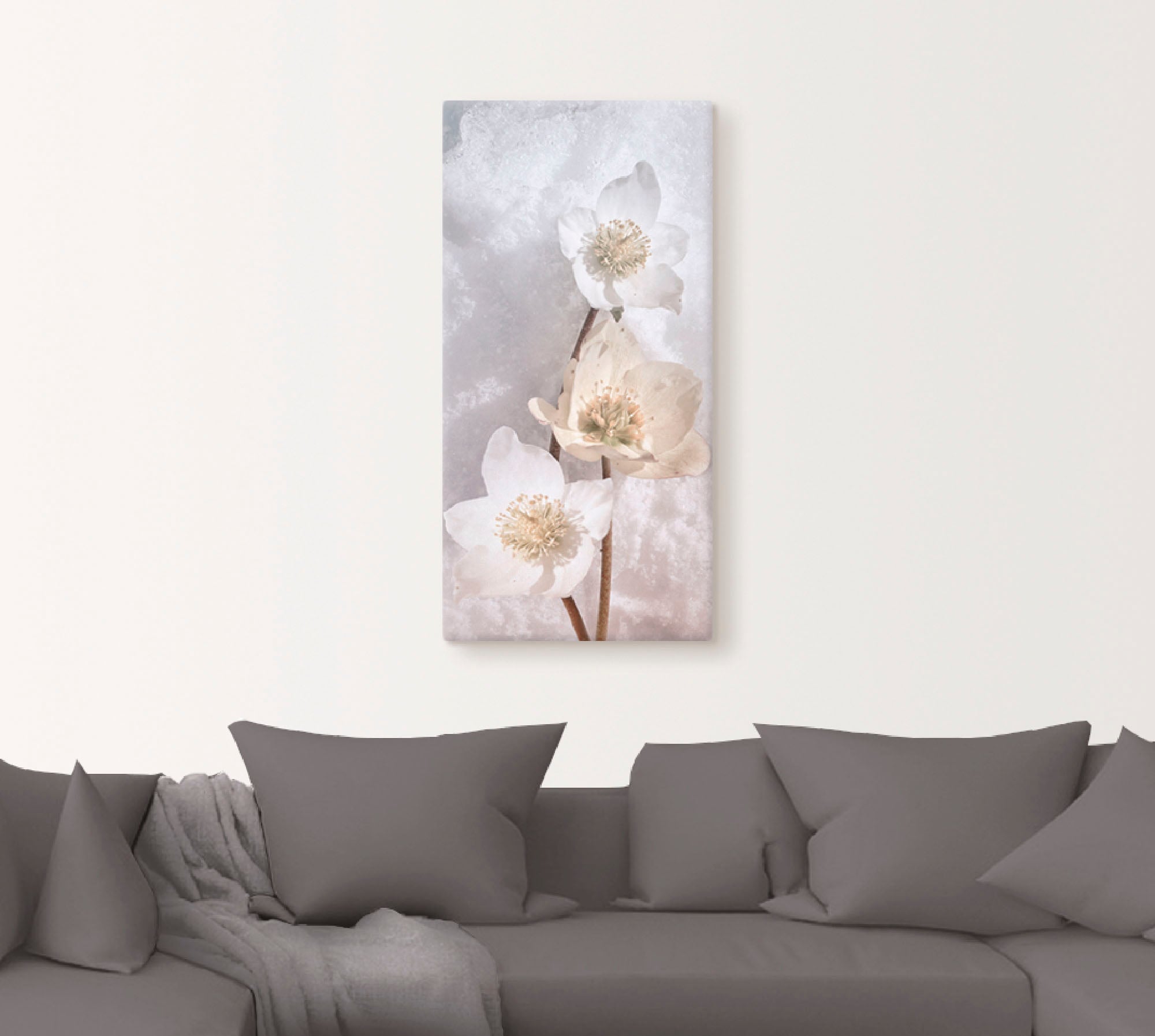 Artland Wandbild »Christrose im Schnee«, Blumen, (1 St.), als Alubild,  Leinwandbild, Wandaufkleber oder Poster in versch. Größen kaufen | BAUR