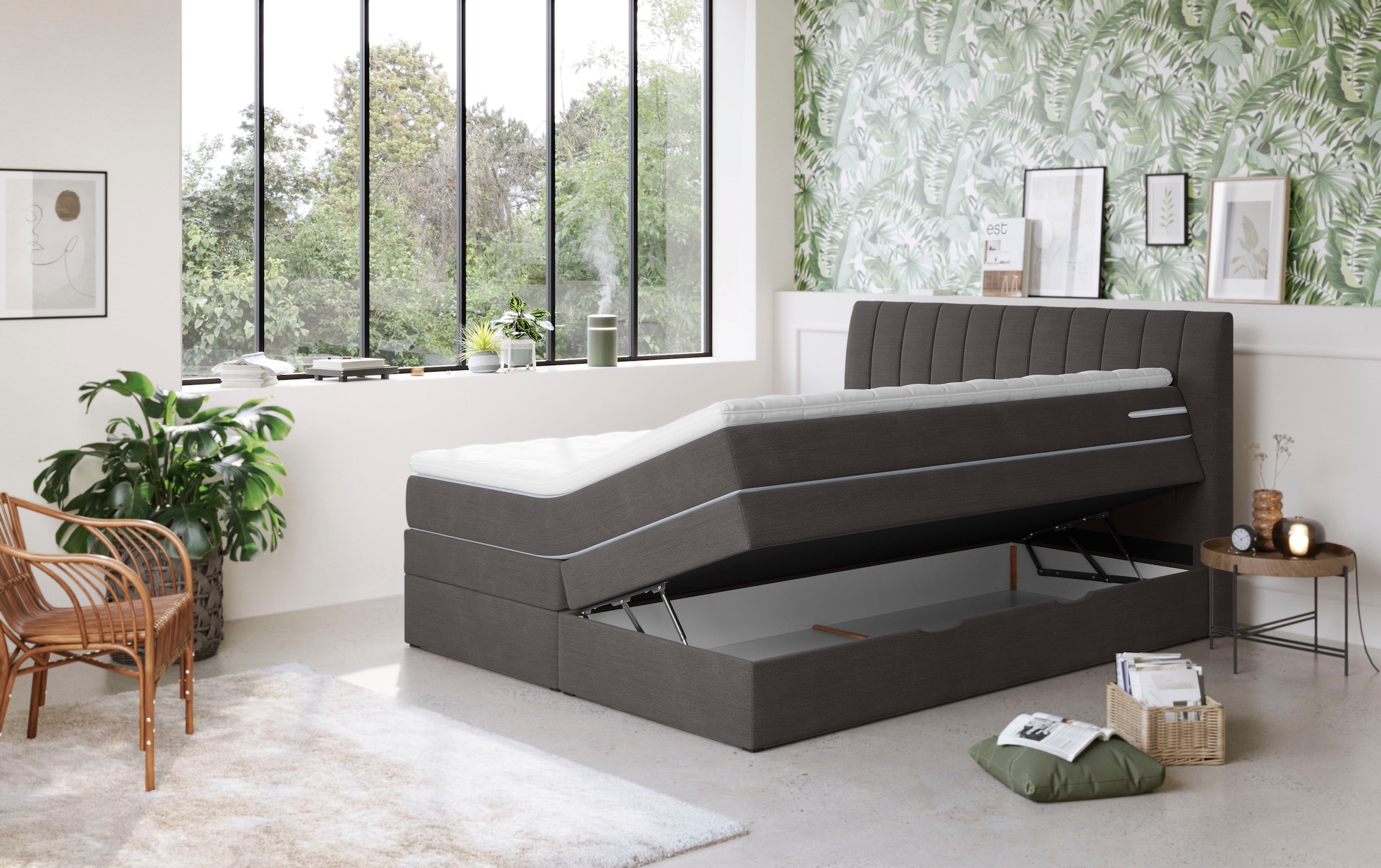 COTTA Boxspringbett »Shark inkl. Bettkasten und Topper«, erhältlich in den Breiten 140x200cm, 160x200cm und 180x200cm