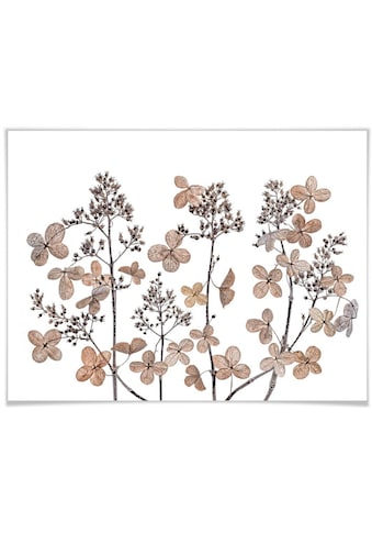 Wall-Art Poster »Getrocknete Blumen« Blumen (1 ...