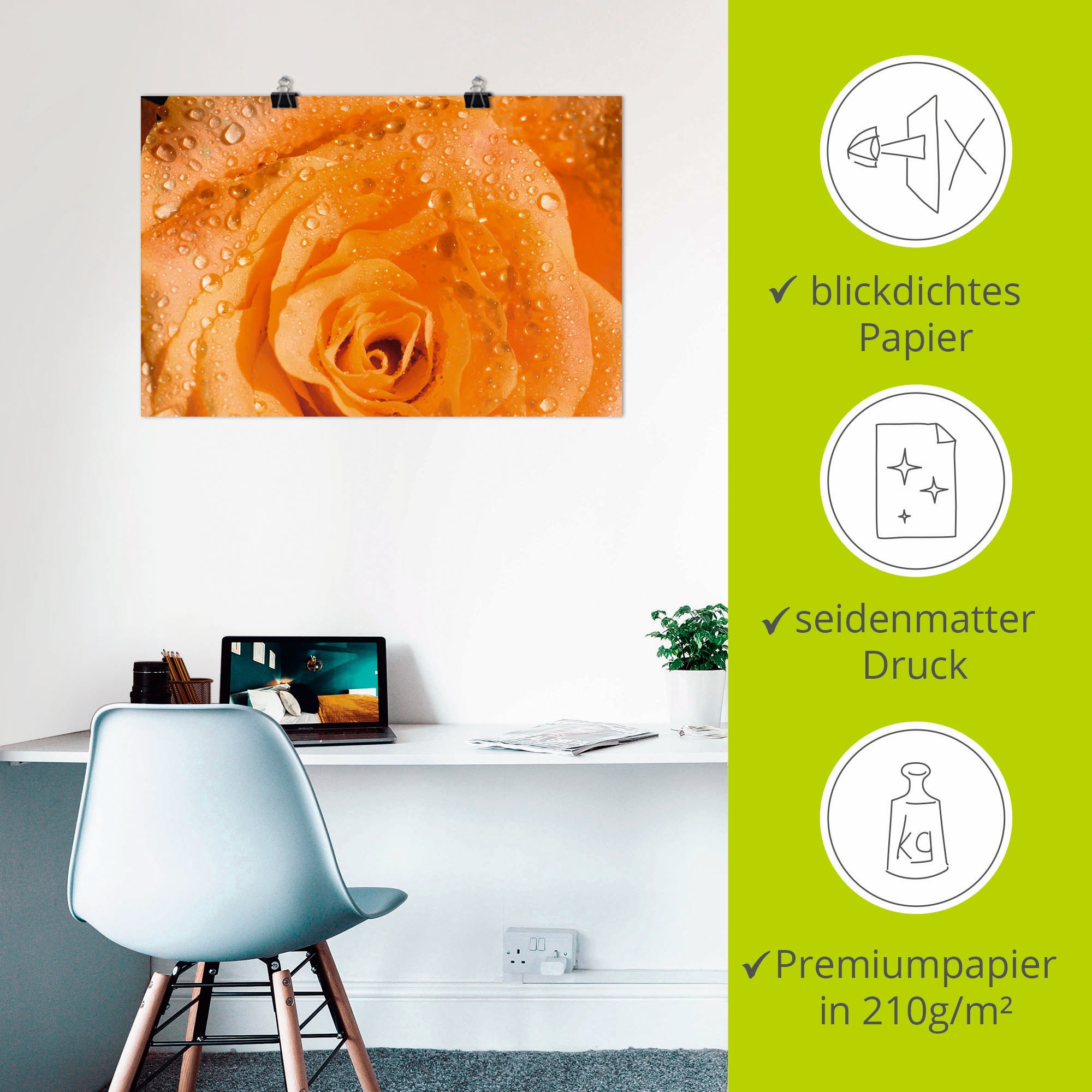 Artland Poster »Rose«, Blumen, (1 St.), als Alubild, Leinwandbild, Wandaufkleber oder Poster in versch. Größen