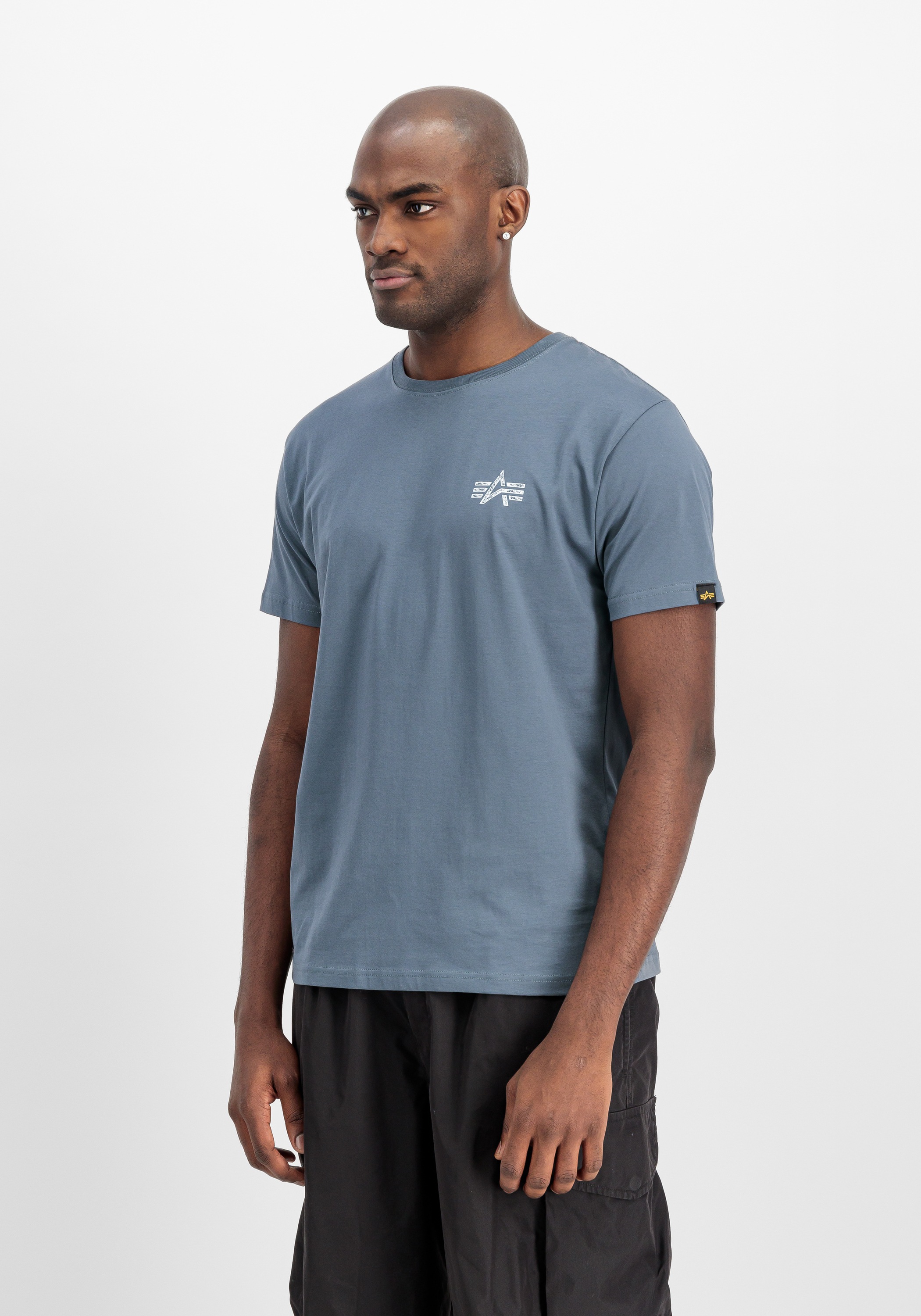 Alpha Industries T-Shirt »Signature Backprint T-Shirt«