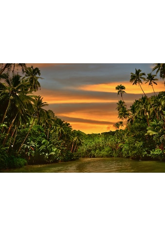 Papermoon Fototapetas »Fluss im Dschungel«