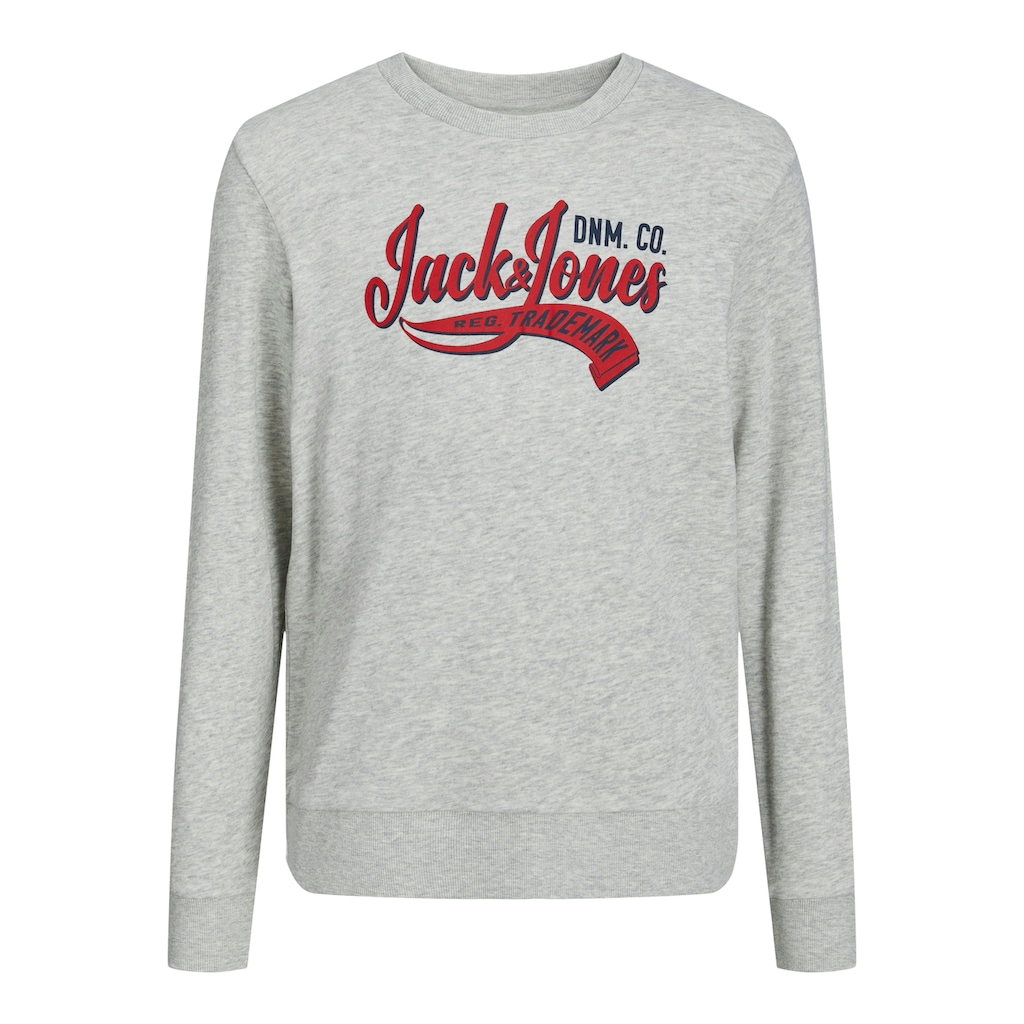 Jack & Jones Junior Sweatshirt »JJELOGO SWEAT CREW NECK 2 COL SS24 JNR«