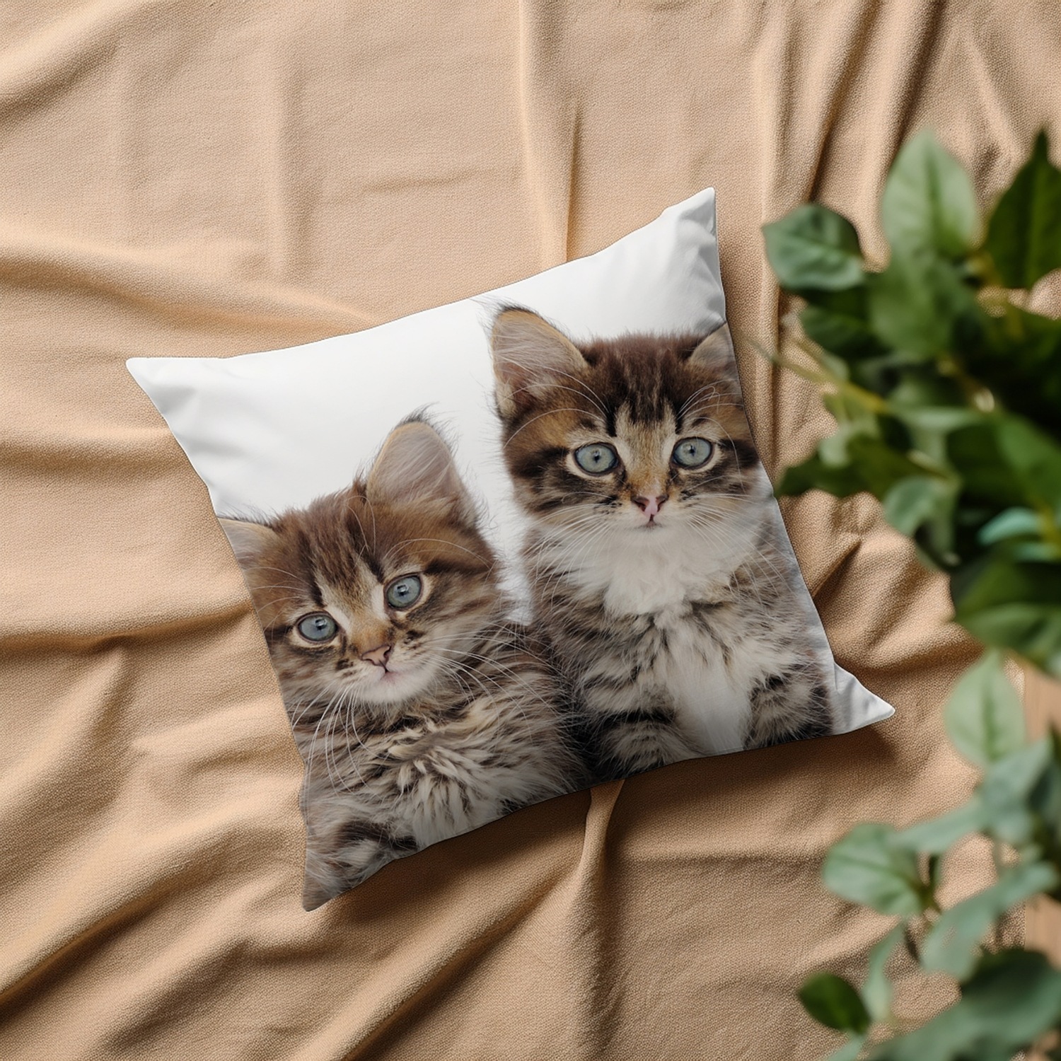queence Dekokissen "Patrick" Kissenhülle,Katzen,Tiermotiv,Niedlich,Verspiel günstig online kaufen
