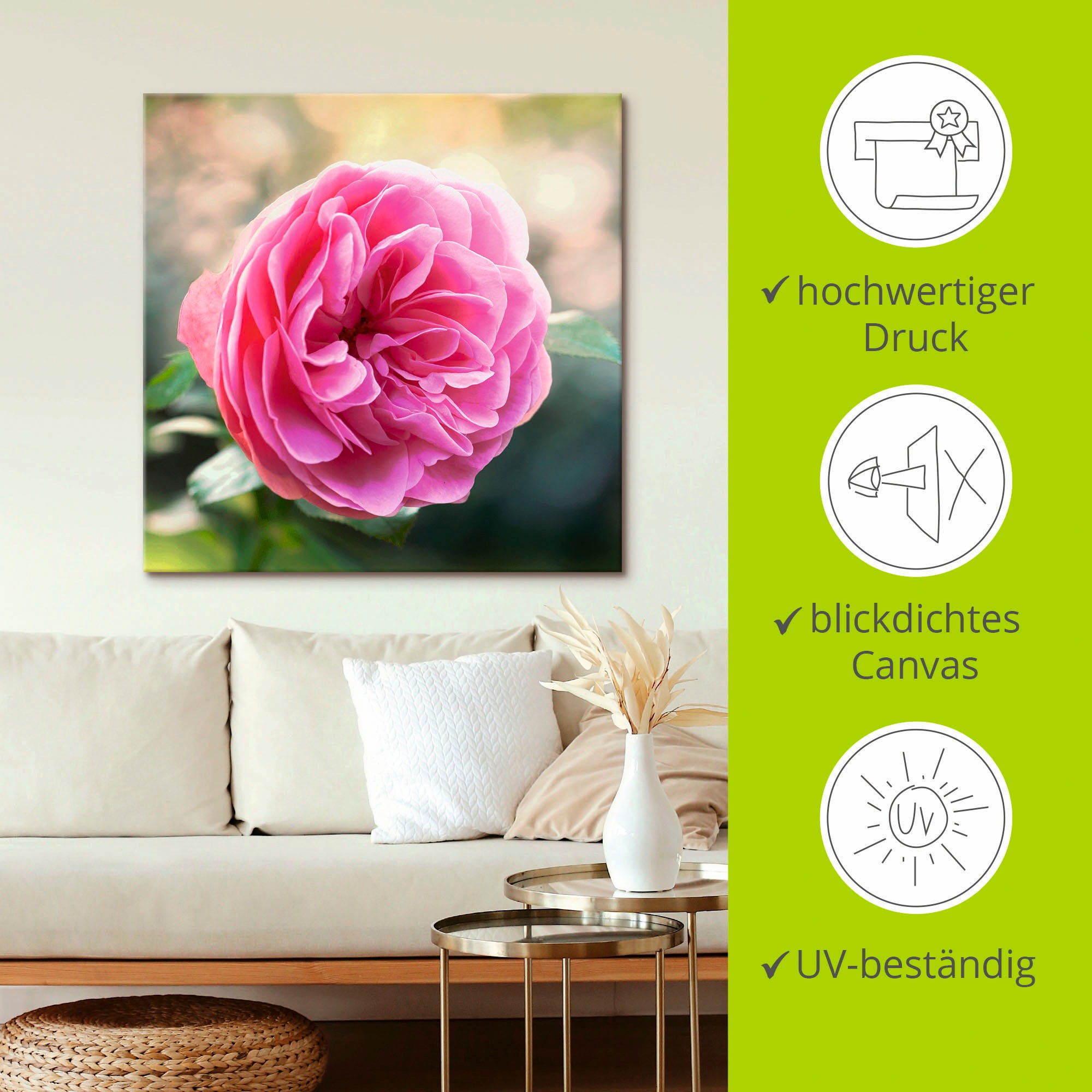 Artland Wandbild »Rosa Rose im Gegenlicht«, Blumen, (1 St.), als Leinwandbild in verschied. Größen