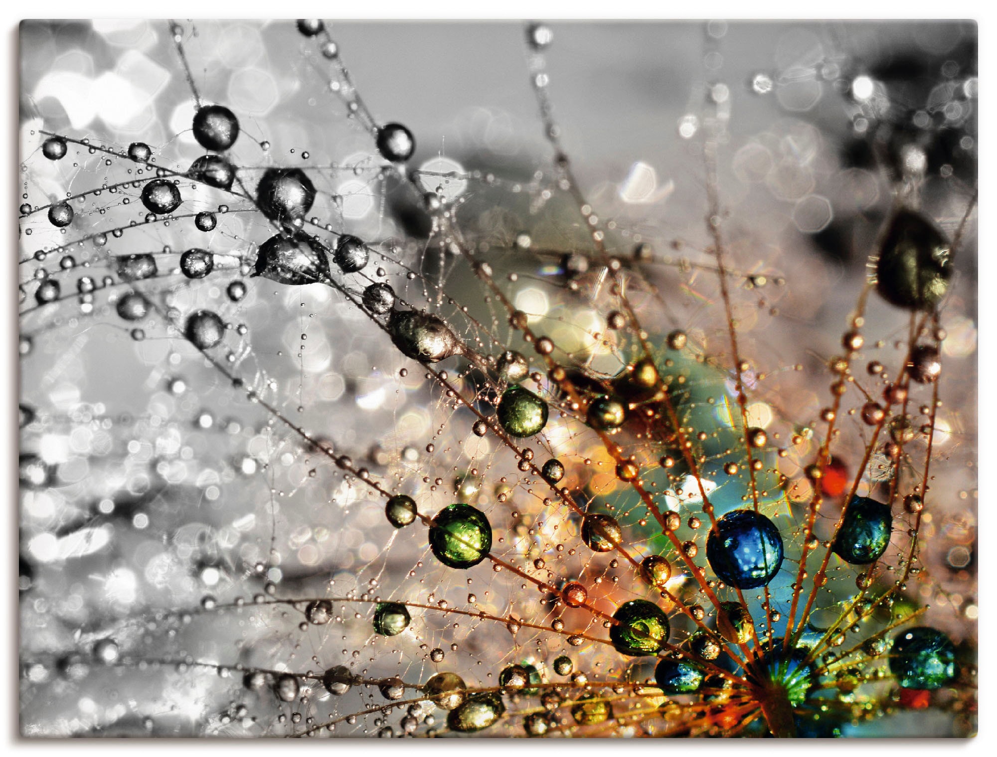 Artland Wandbild "Farbenfrohe Natur" Blumen 1 Stk. tlg. als Alubild, Leinwa günstig online kaufen