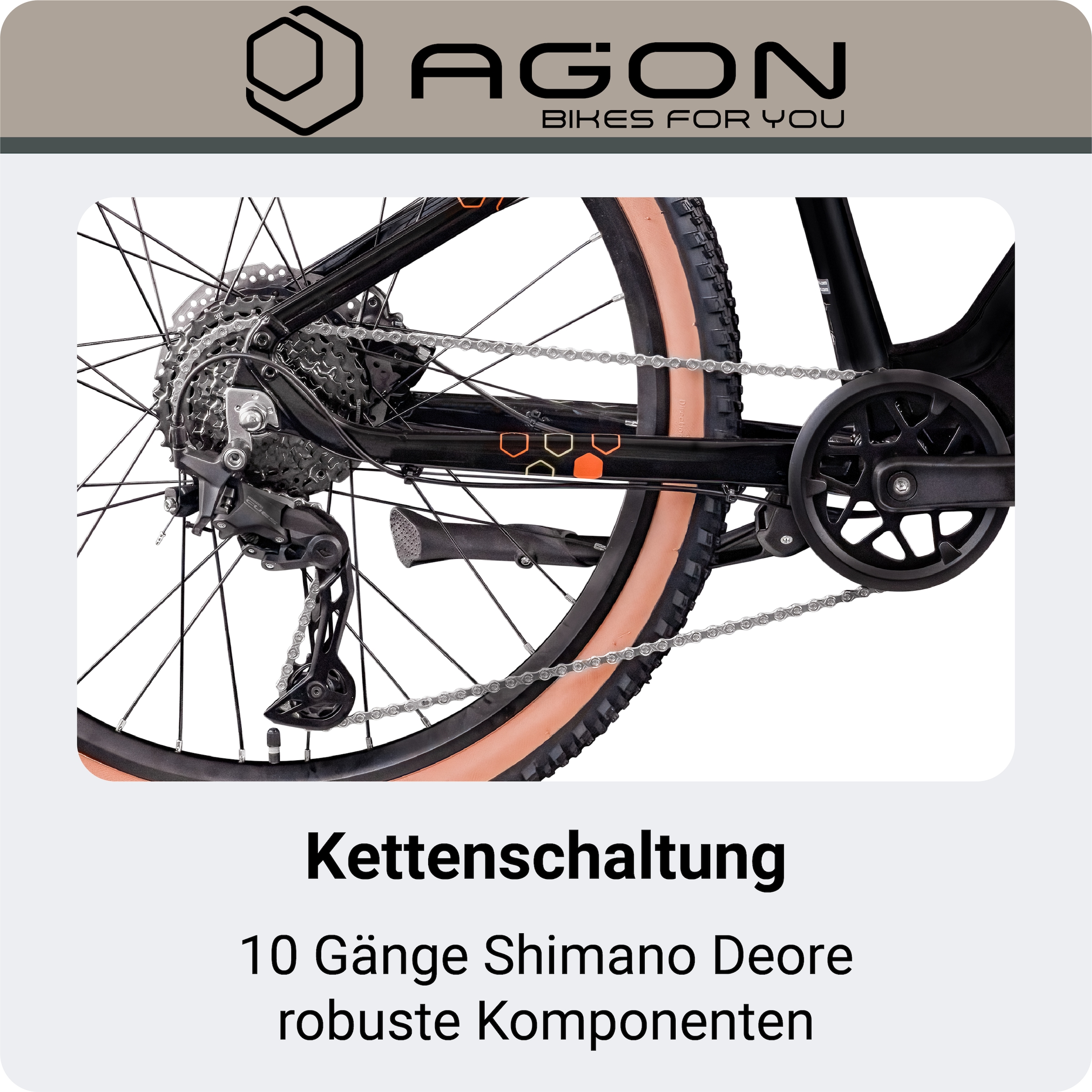 AGON »Alpha« 10 Gang Shimano Deore SGS T6000 Schaltwerk Kettenschaltung Heckmotor 250 W E Bike Mountainbike Herren oder Damen 160 - 185 cm