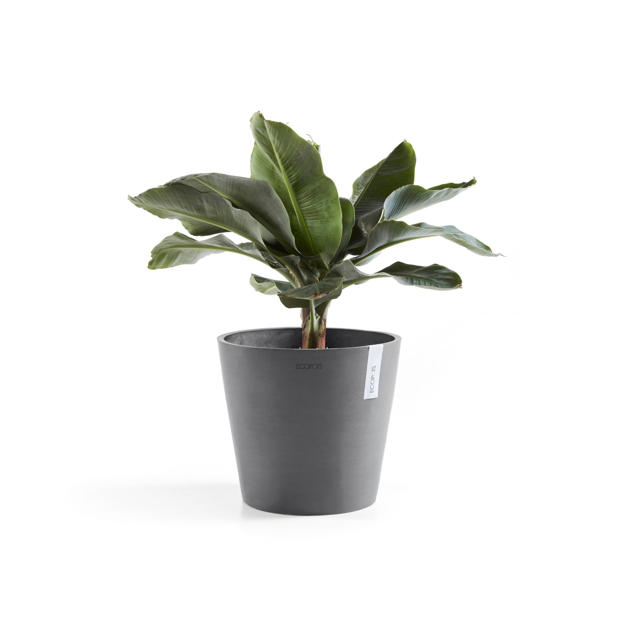 ECOPOTS Blumentopf »Amsterdam«, ØxH: 30x26,3 cm