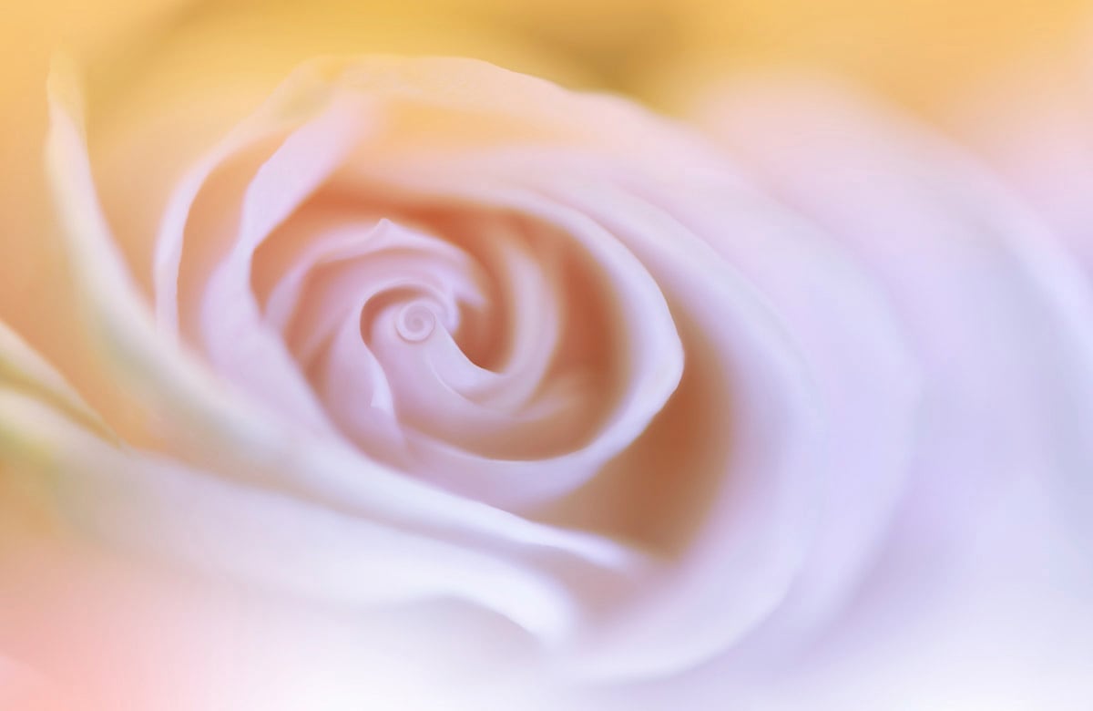 Papermoon "Zen Wassertropfen mit Blume Makro"