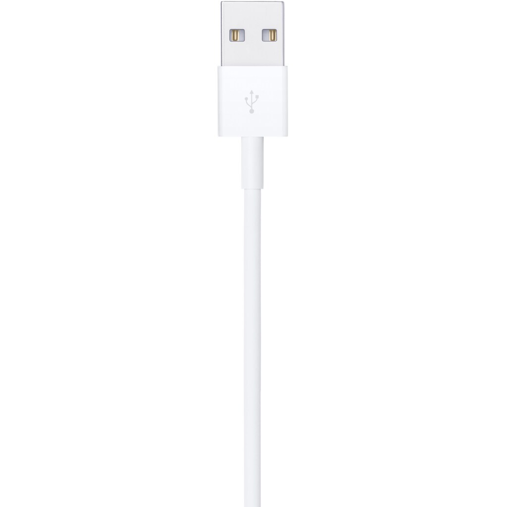 Apple Smartphone-Kabel »Lightning to USB Cable (1 m)«, Lightning, USB