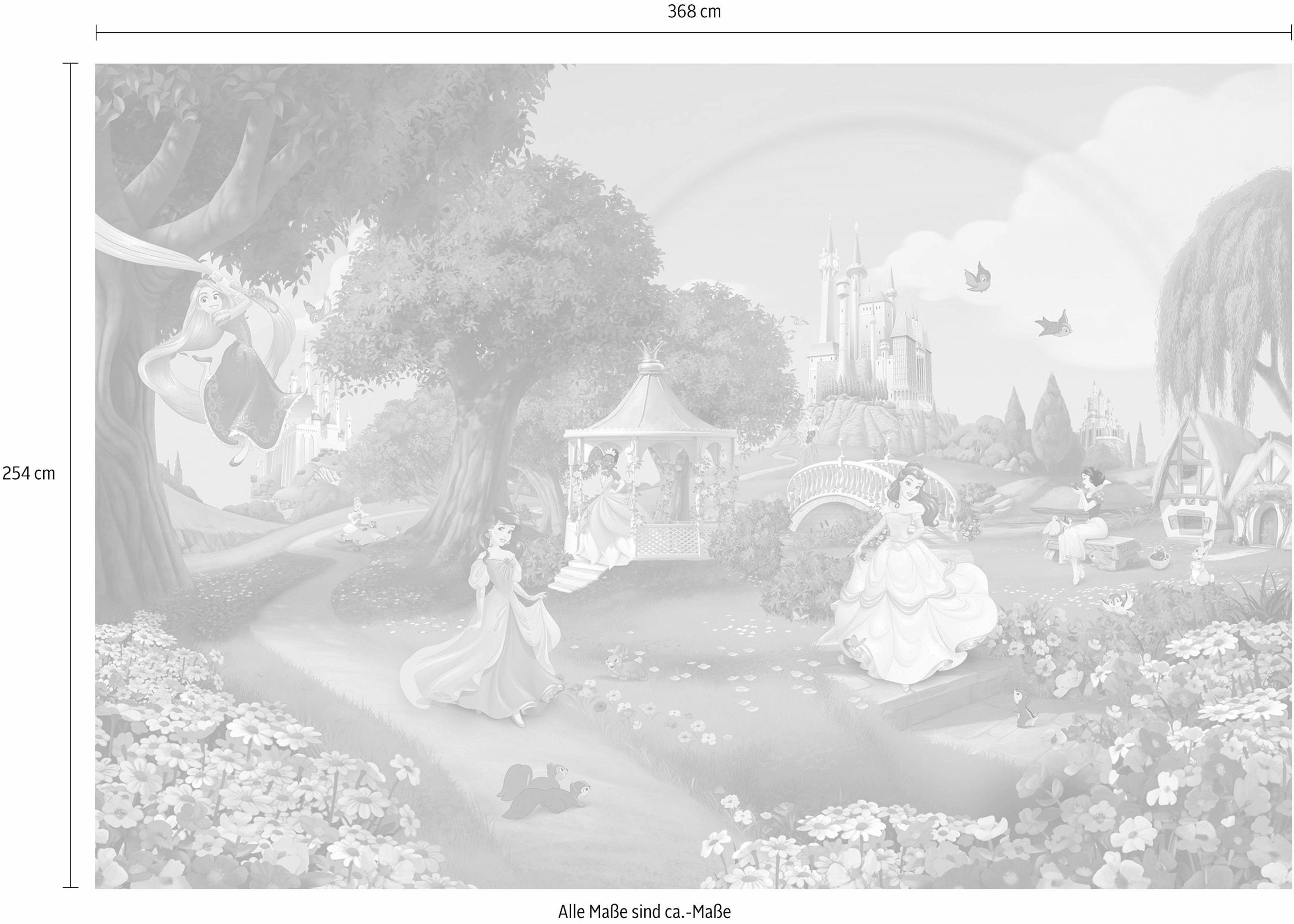 Komar Fototapete »Disney Princess Rainbow«, online Kleister | (Breite cm Höhe), inklusive BAUR bestellen 368x254 x