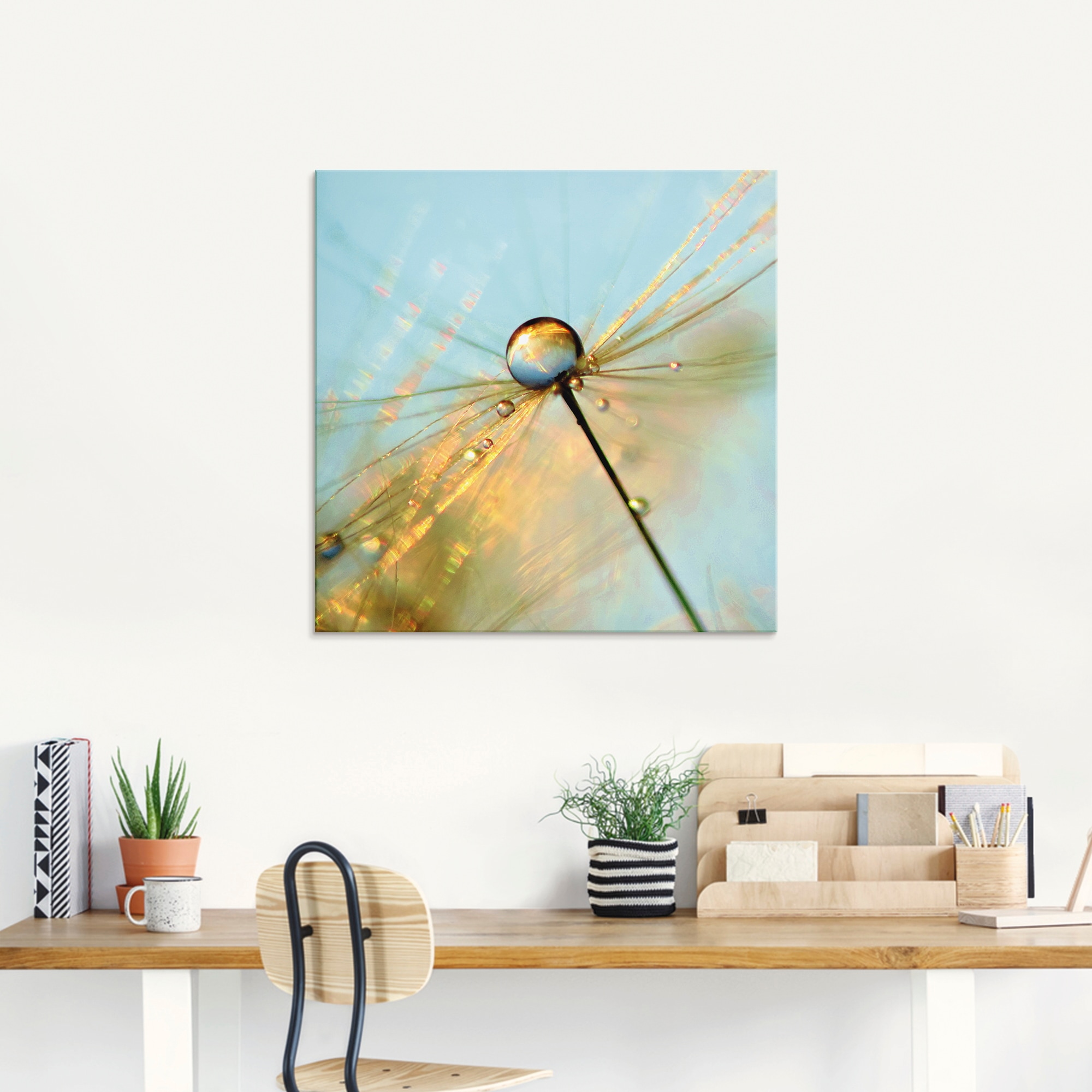 Artland Glasbild »Pusteblume Tautropfen II« 1 Stk. tlg. in verschiedenen Größen