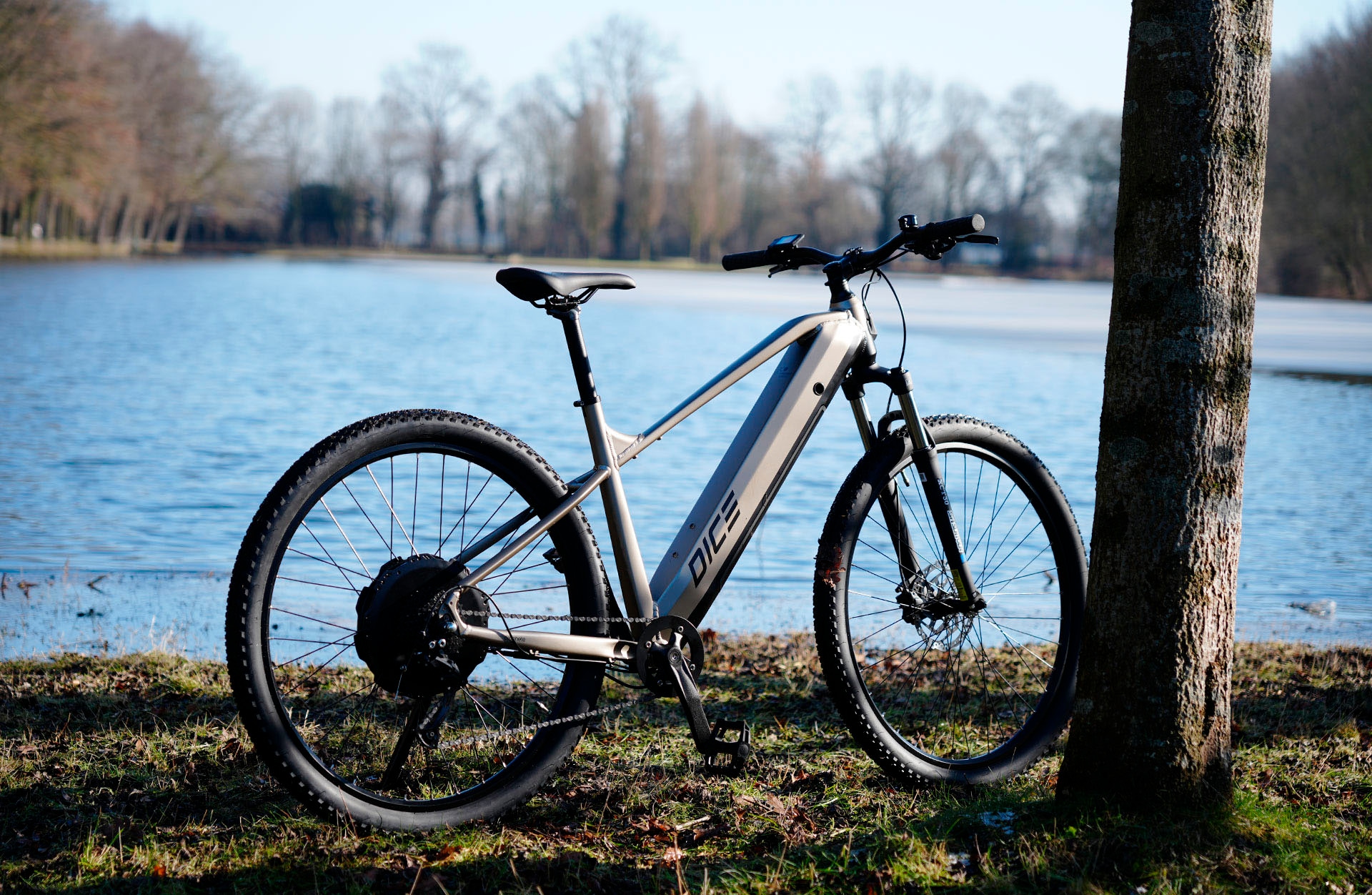 Prophete »Dice 2.8« 8 Gang Shimano Alivio Schaltwerk Kettenschaltung Heckmotor 250 W