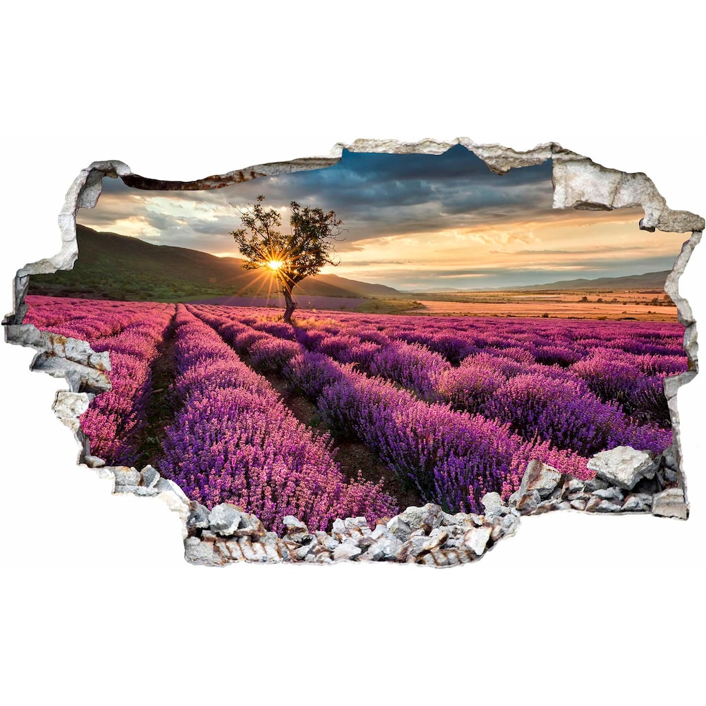 Wall-Art Wandtattoo »Lavendel in der Provence«
