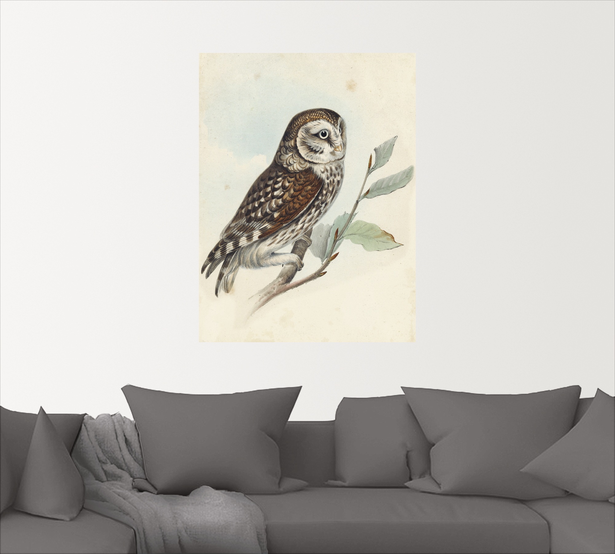 Artland Wandbild »Kleine Eule«, Vögel, (1 St.), als Alubild, Leinwandbild, Wandaufkleber oder Poster in versch. Größen
