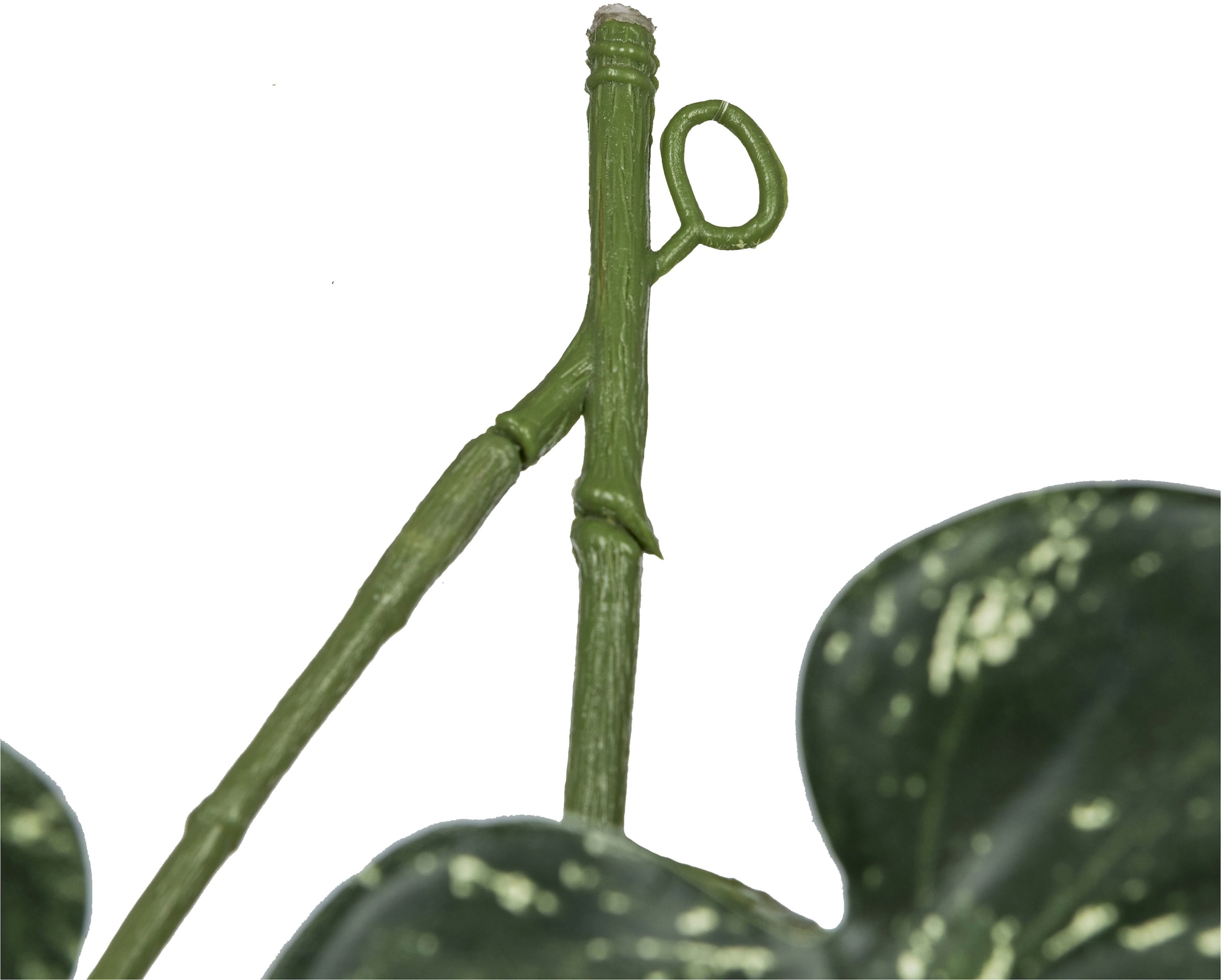 Creativ green Kunstranke »Splitphiloranke«, mit üppigem Blattwerk