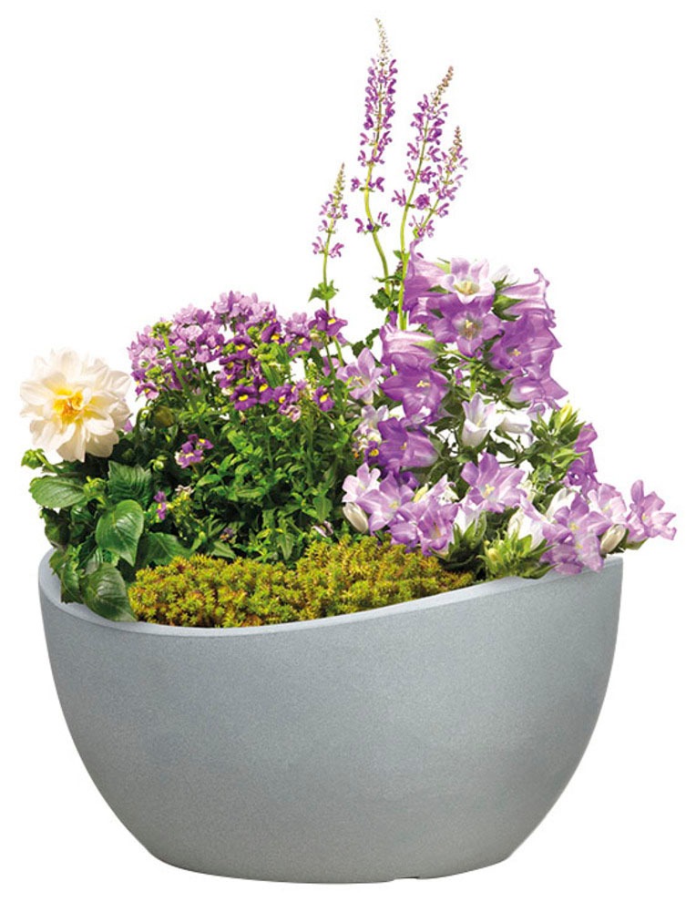 Scheurich Blumentopf »40/252 WAVE GLOBE BOWL«