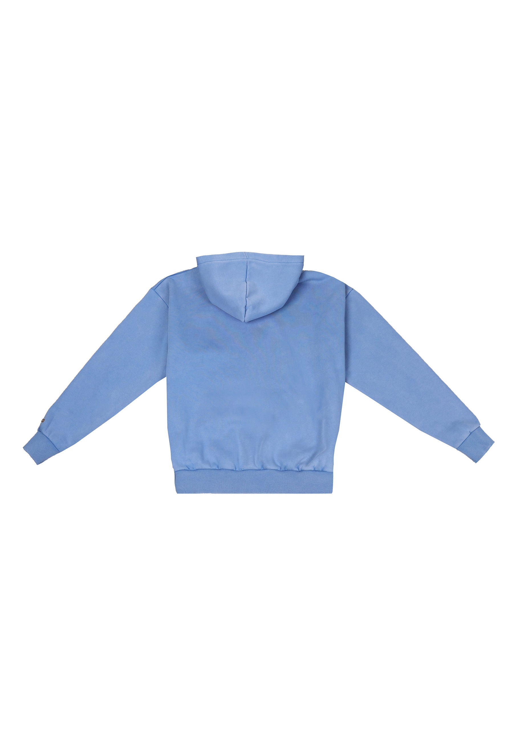 Dropsize Heavy Oversize Embo Hoodie Blau Gr. S 4