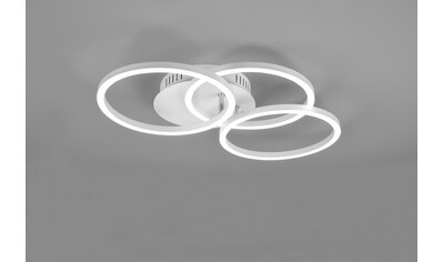 TRIO Leuchten LED Deckenleuchte »Circle«, LED-Board, 1 St., warmweiß - kaltweiß,... kaufen