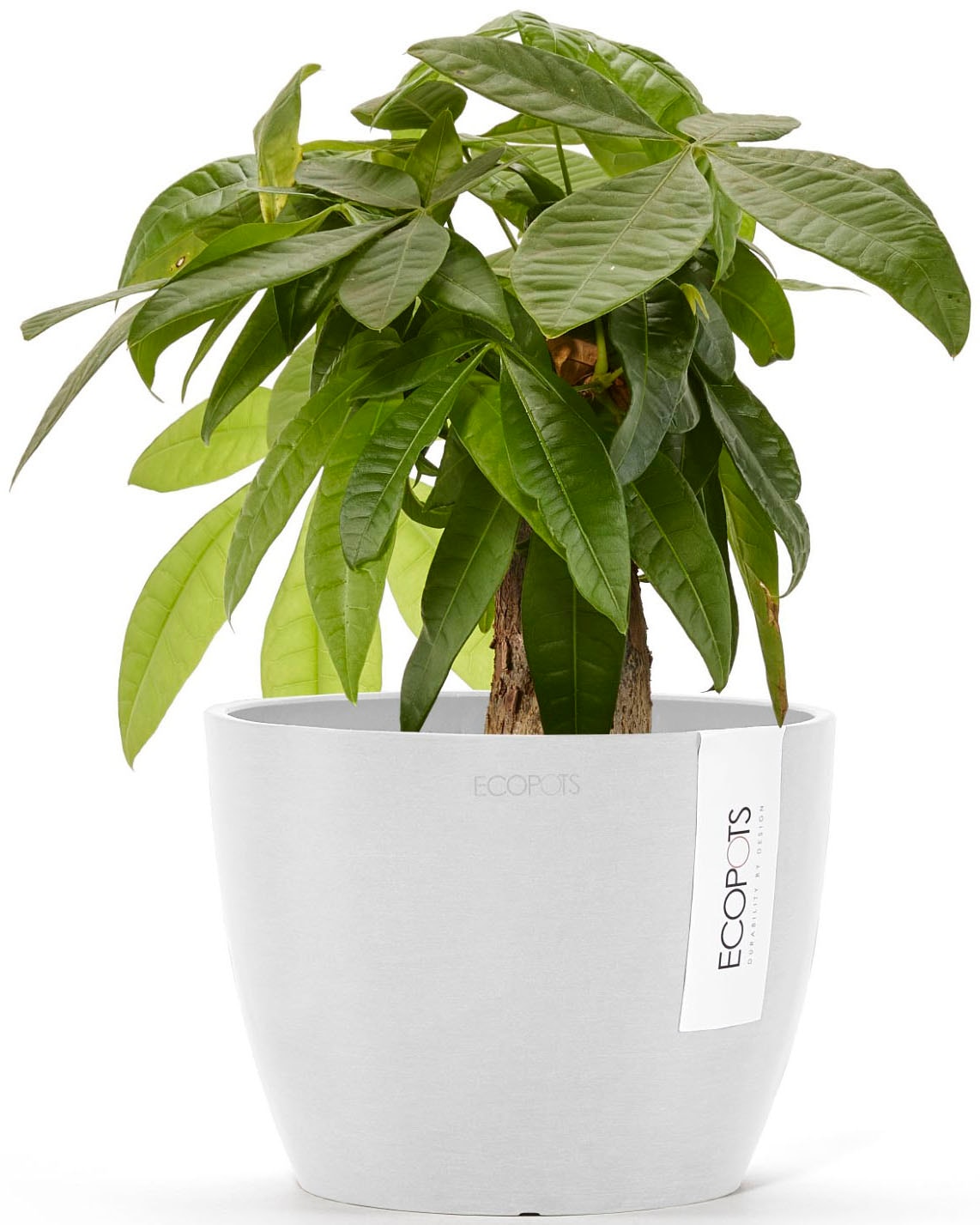ECOPOTS Blumentopf »Stockholm Mini 16 Weiß« für innen und außen: frostsicher, bruchsicher und lichtbeständig