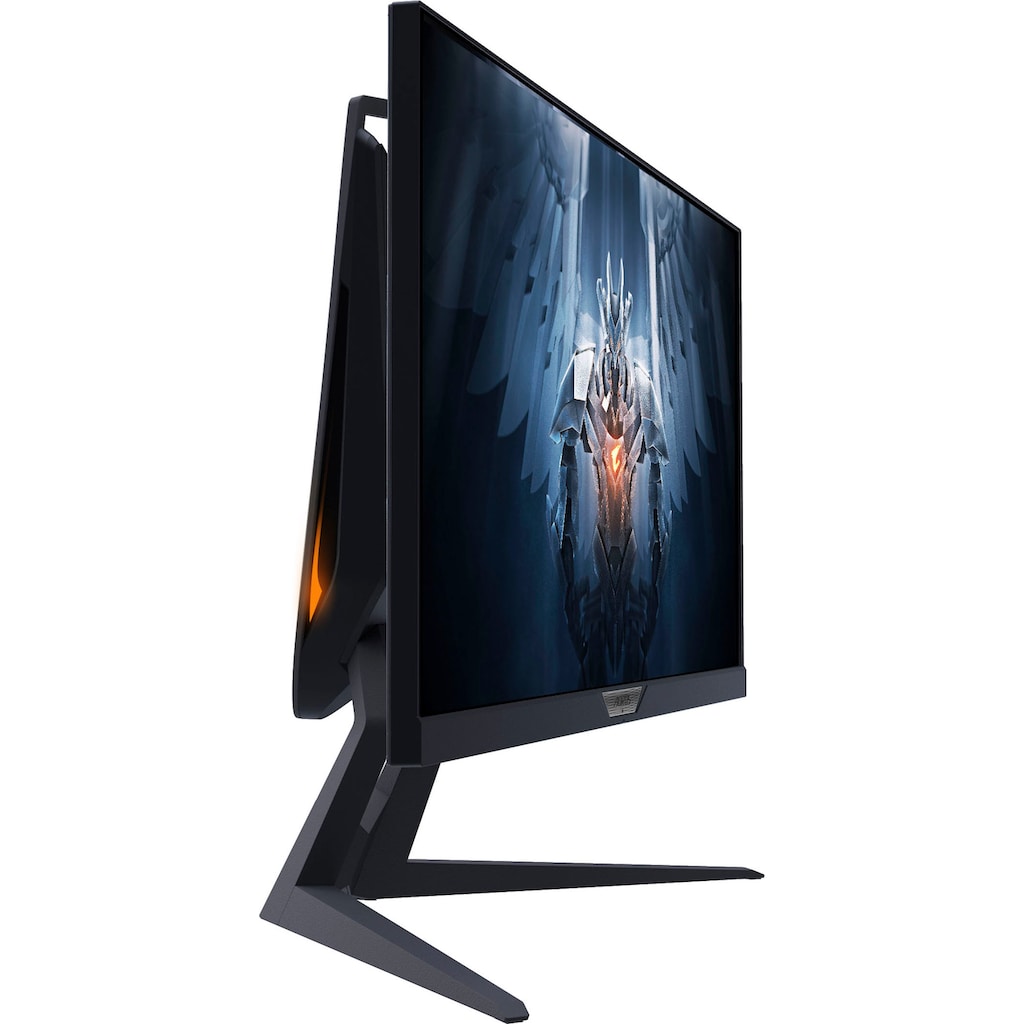 Gigabyte Gaming-Monitor »AORUS FI25F«, 62,2 cm/24,5 Zoll, 1920 x 1080 px, Full HD, 4 ms Reaktionszeit, 240 Hz, Energiesparmoduns 0,5 Watt, Standy-Modus 0,3 Watt