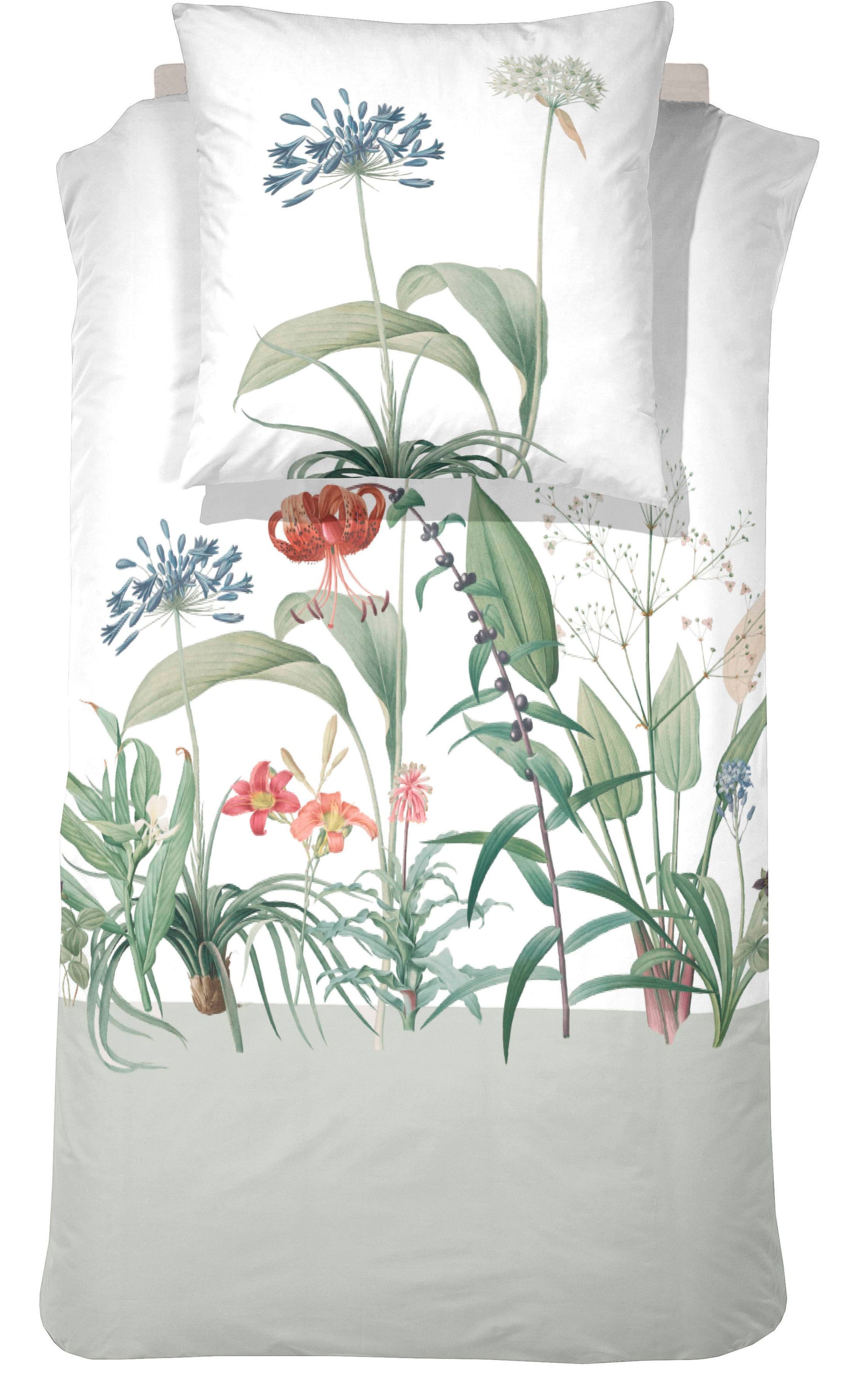 Cinderella Bettwäsche "Cinderella - Celeste" 3 Stk. Made in Green“-Label vo günstig online kaufen