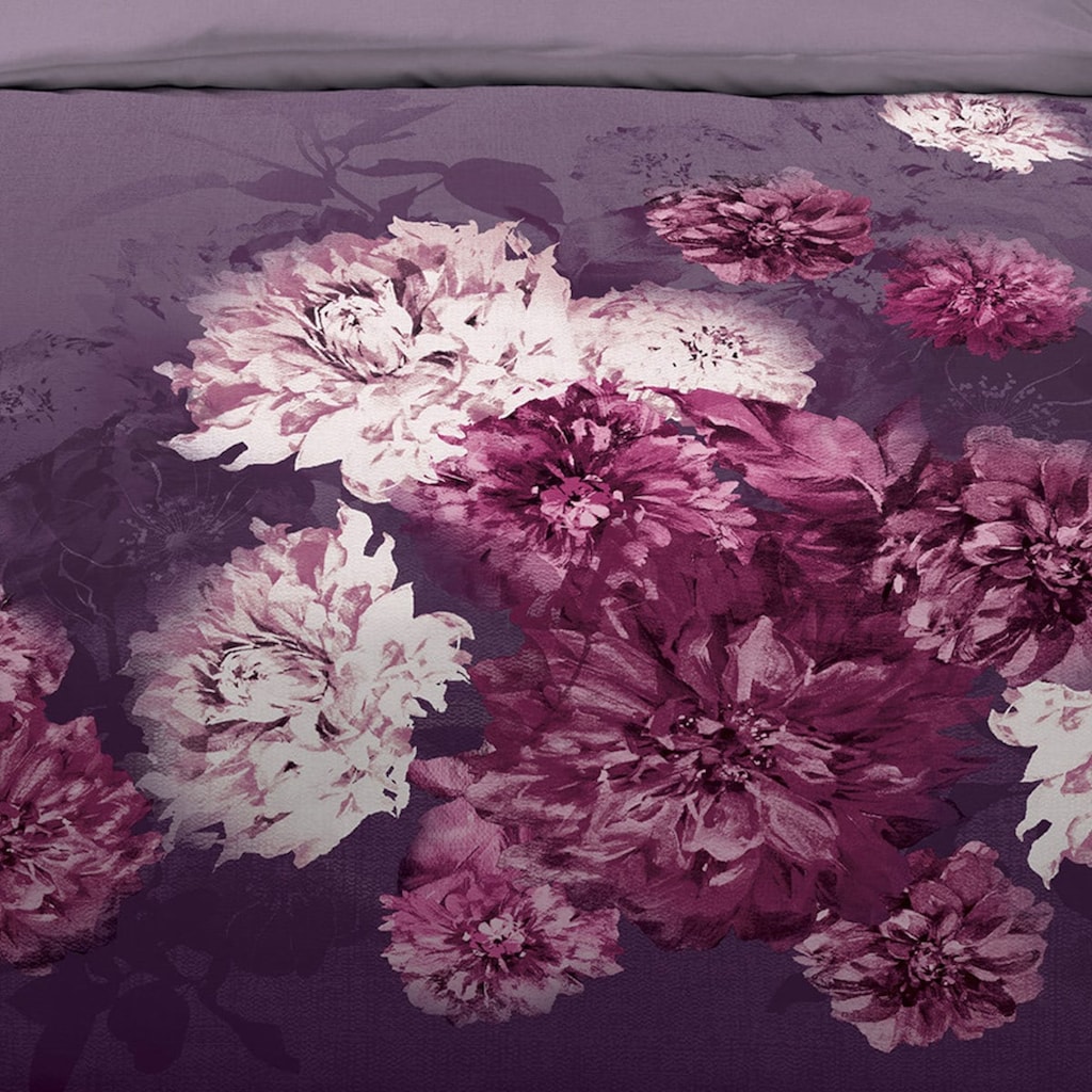 TRAUMSCHLAF Wendebettwäsche »Flamenco violett«, (2 tlg.), Biberbettwäsche mit opulentem Blumendruck