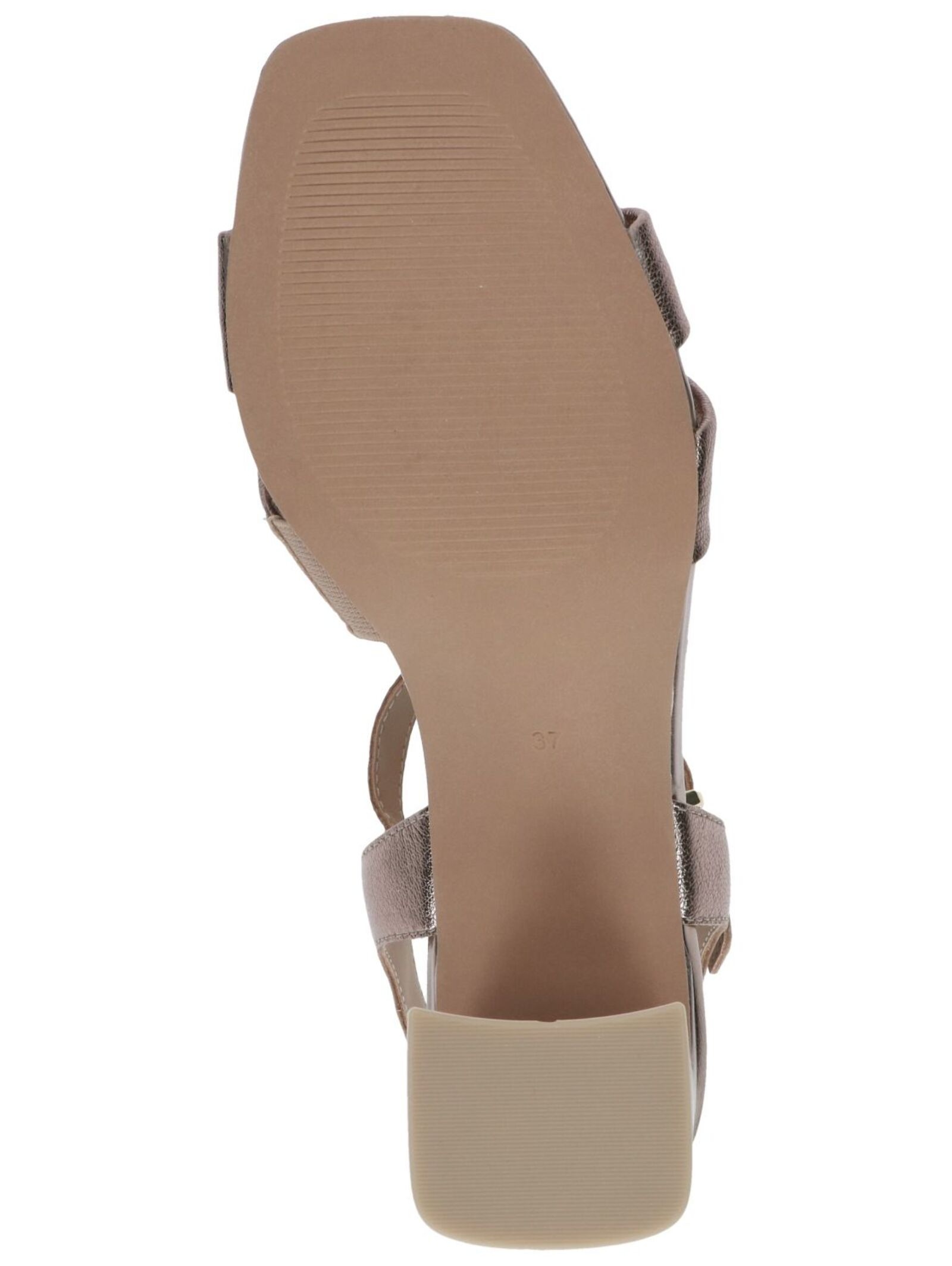 Caprice Riemchensandale »Caprice Sandalen Leder«