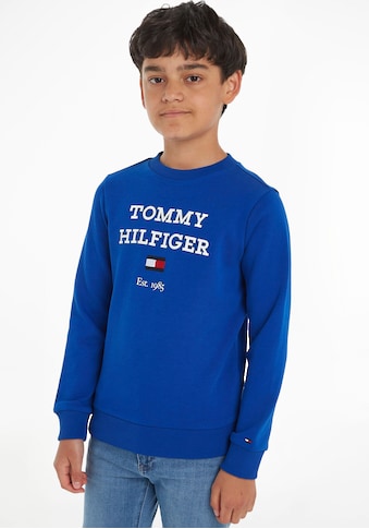 TOMMY HILFIGER Sportinio stiliaus megztinis »TH Logo ...