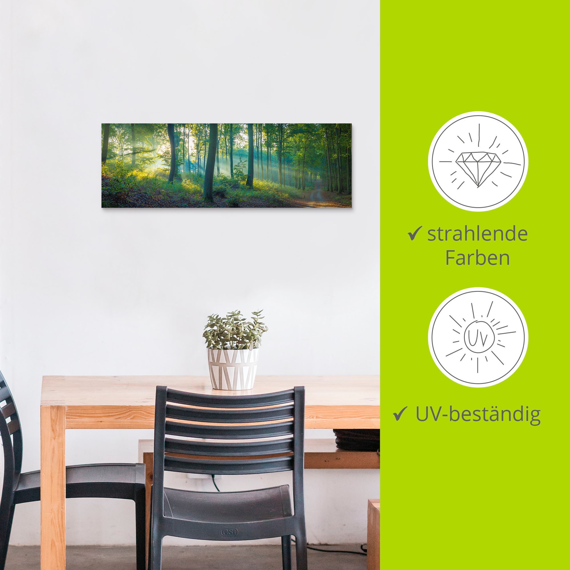 Artland Wandbild »Wald Panorama«, Waldbilder, (1 St.), als Alubild, Outdoorbild, Leinwandbild, Poster, Wandaufkleber