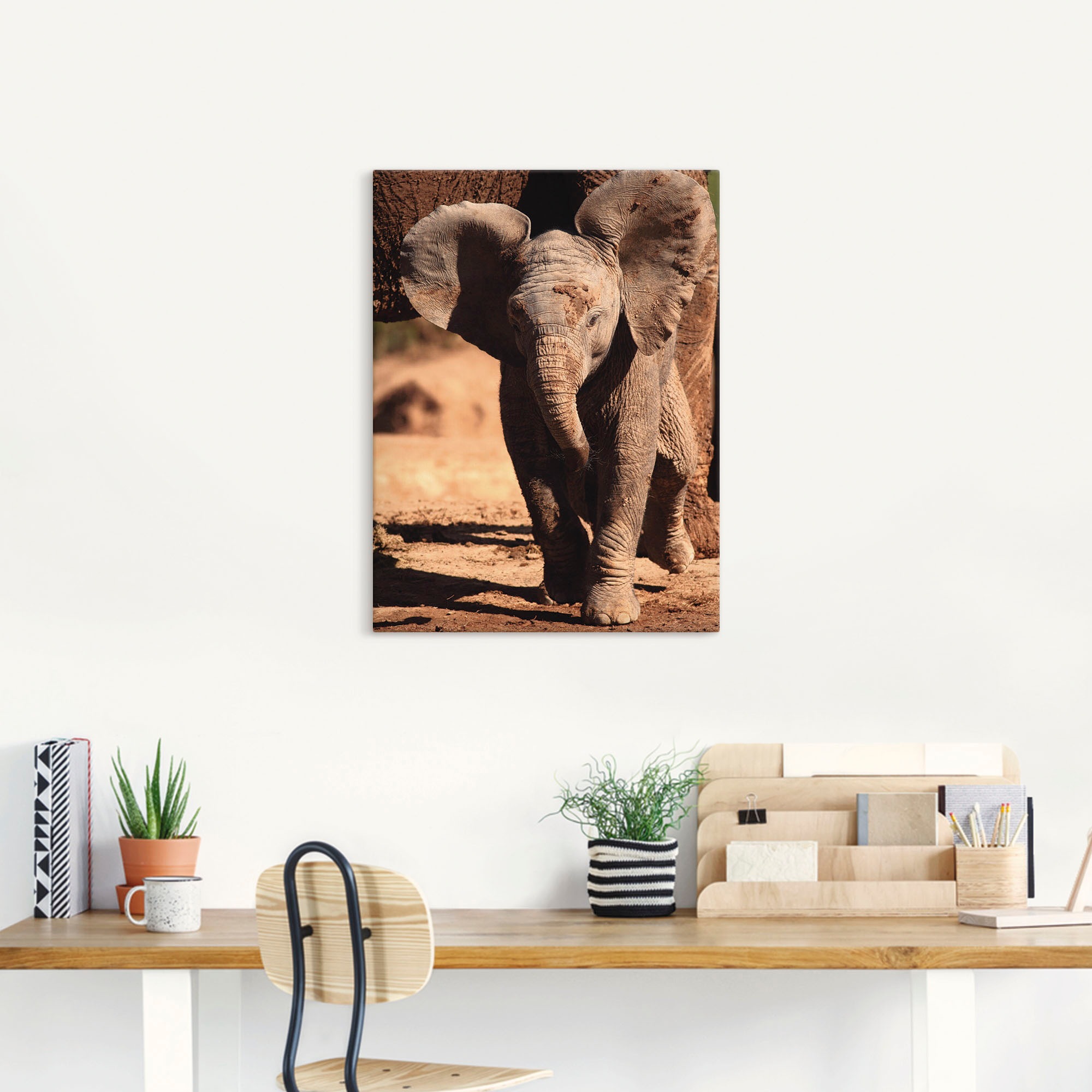 Artland Leinwandbild "Elefantenbaby" Wildtiere 1 Stk. tlg. auf Keilrahmen g günstig online kaufen