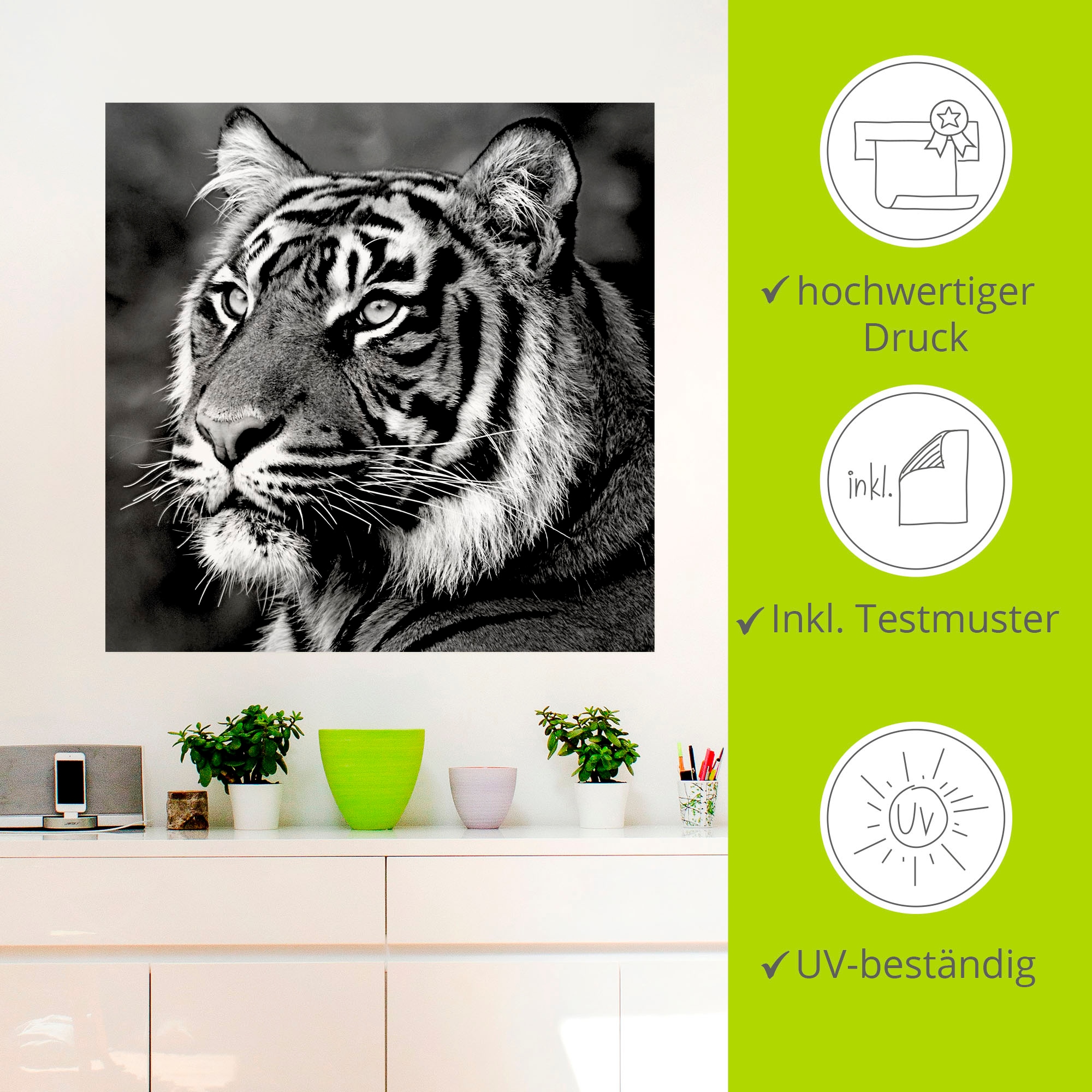 Artland Wandbild »Tiger«, Wildtiere, (1 St.), als Leinwandbild, Poster, Wandaufkleber in verschied. Größen
