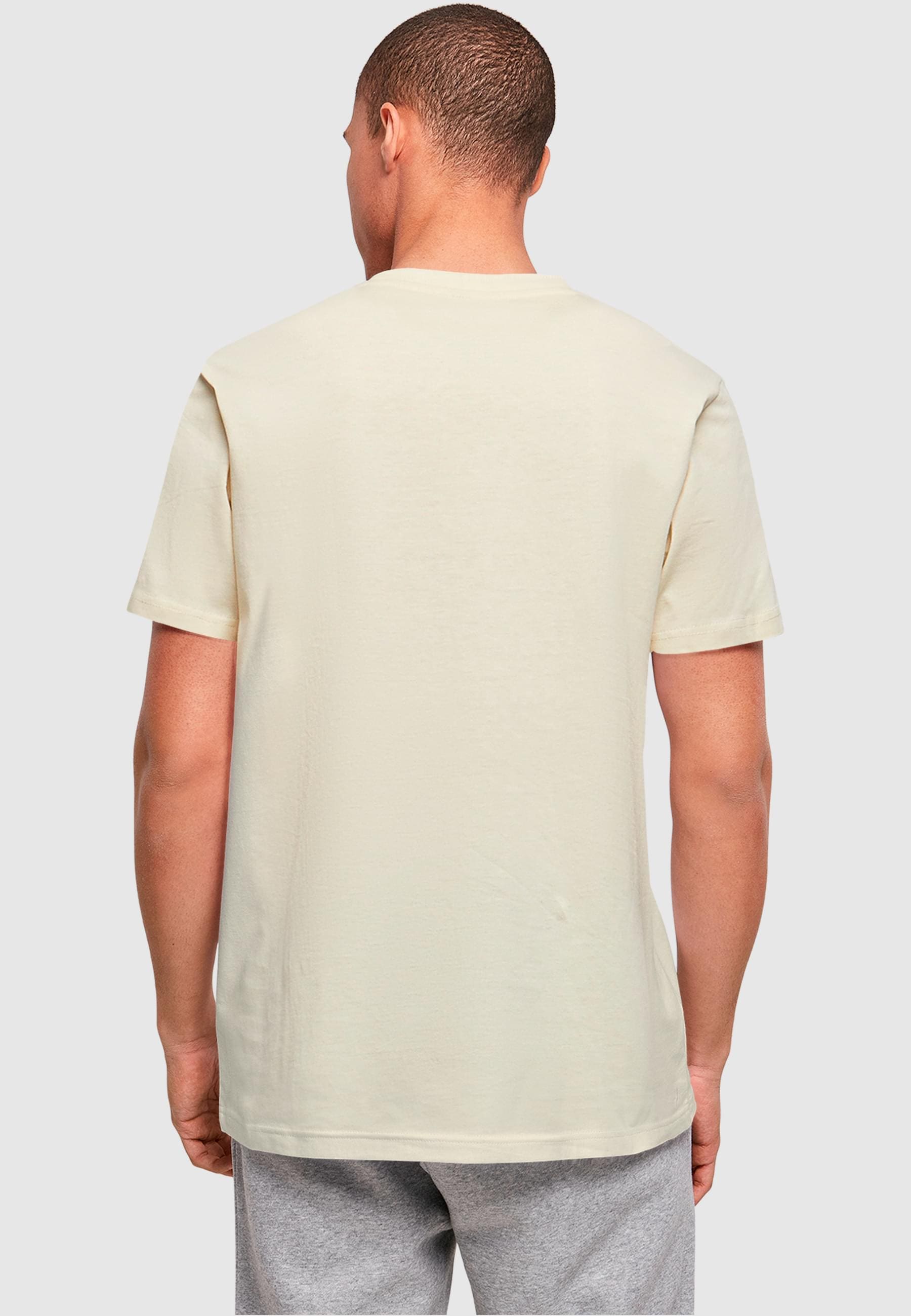 ABSOLUTE CULT T-Shirt »ABSOLUTE CULT Herren Deadpool - Aka Wade Wilson T-Shirt«, (1 tlg.)