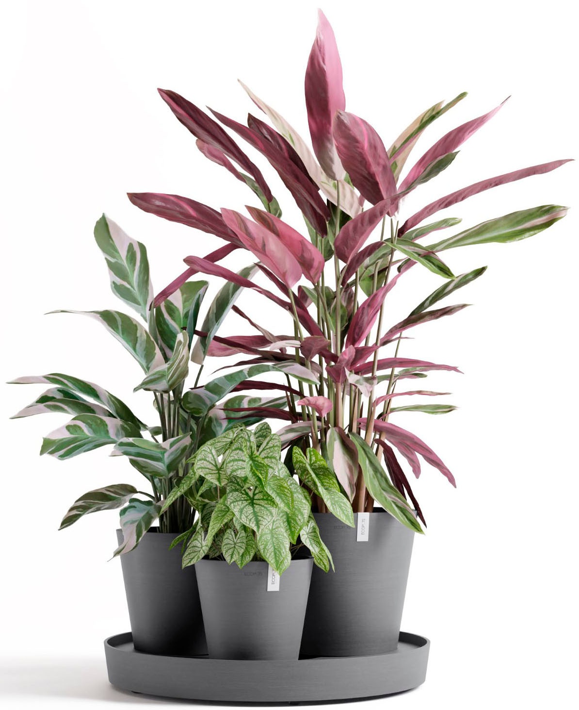 ECOPOTS Blumentopf »Dubai Grau« für innen und außen: frostsicher, bruchsicher und lichtbeständig