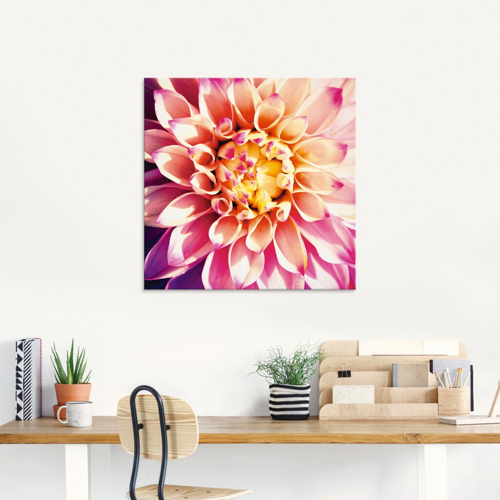 Artland Glasbild »Dahlie«, Blumen, (1 St.)