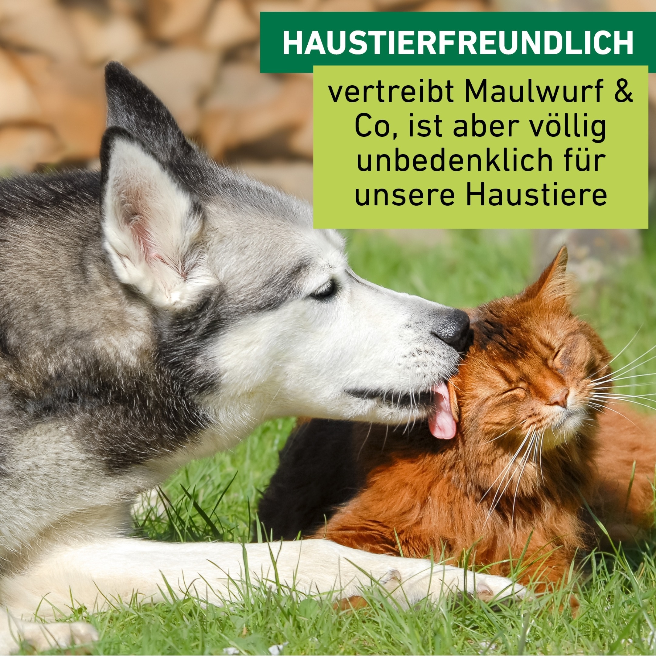 Windhager Ultraschall-Tierabwehr »Maulfwurfschreck und Wühlmausvertreiber Premium, batteriebetrieben« Wirkungsbereich 900 m² mit Resonanzschwingungen und Ultraschall