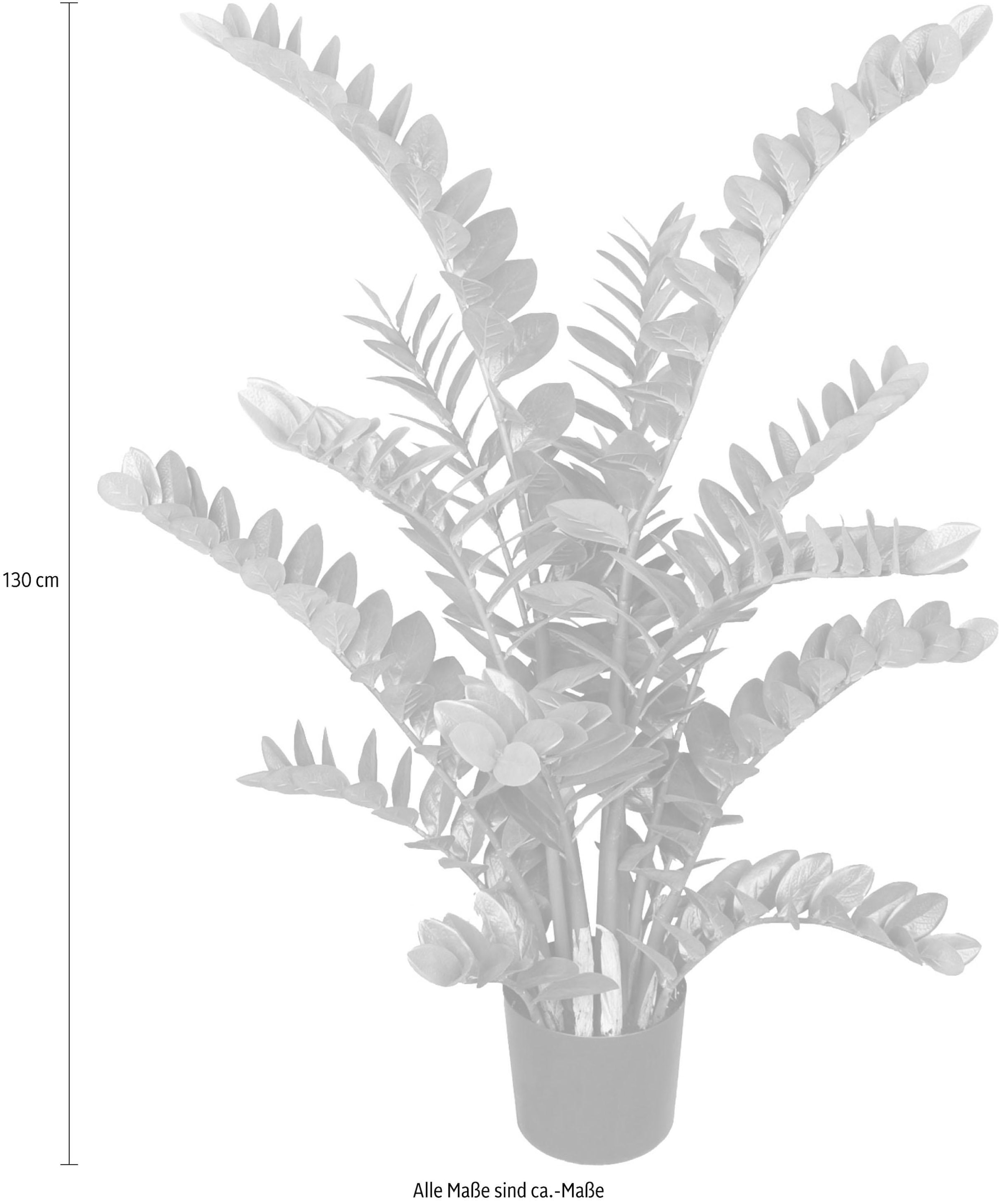 Creativ green Kunstpflanze »Zamifolia«, (1 St.)