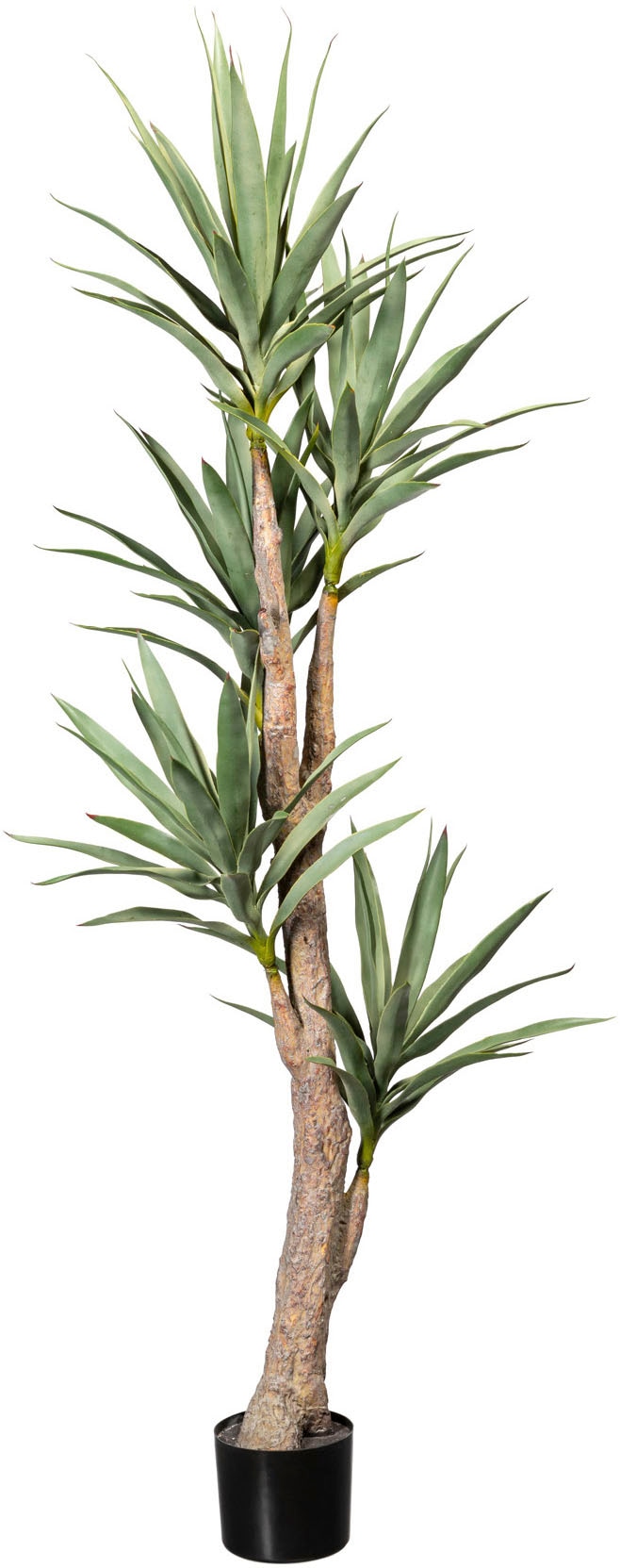 Creativ green »Dracaena« Zimmerpflanze bestellen | Künstliche BAUR