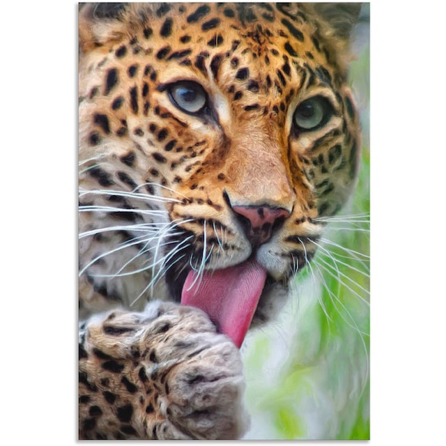 Black Friday Artland Wandbild »Leopard«, Wildtiere, (1 St.), als Alubild,  Leinwandbild, Wandaufkleber oder Poster in versch. Größen | BAUR
