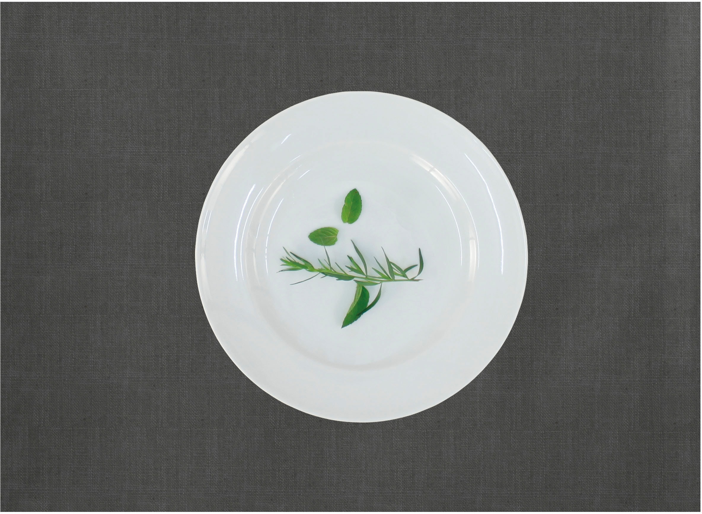 APELT Platzset "Arizona, Uni-Basic" Leinenoptik günstig online kaufen