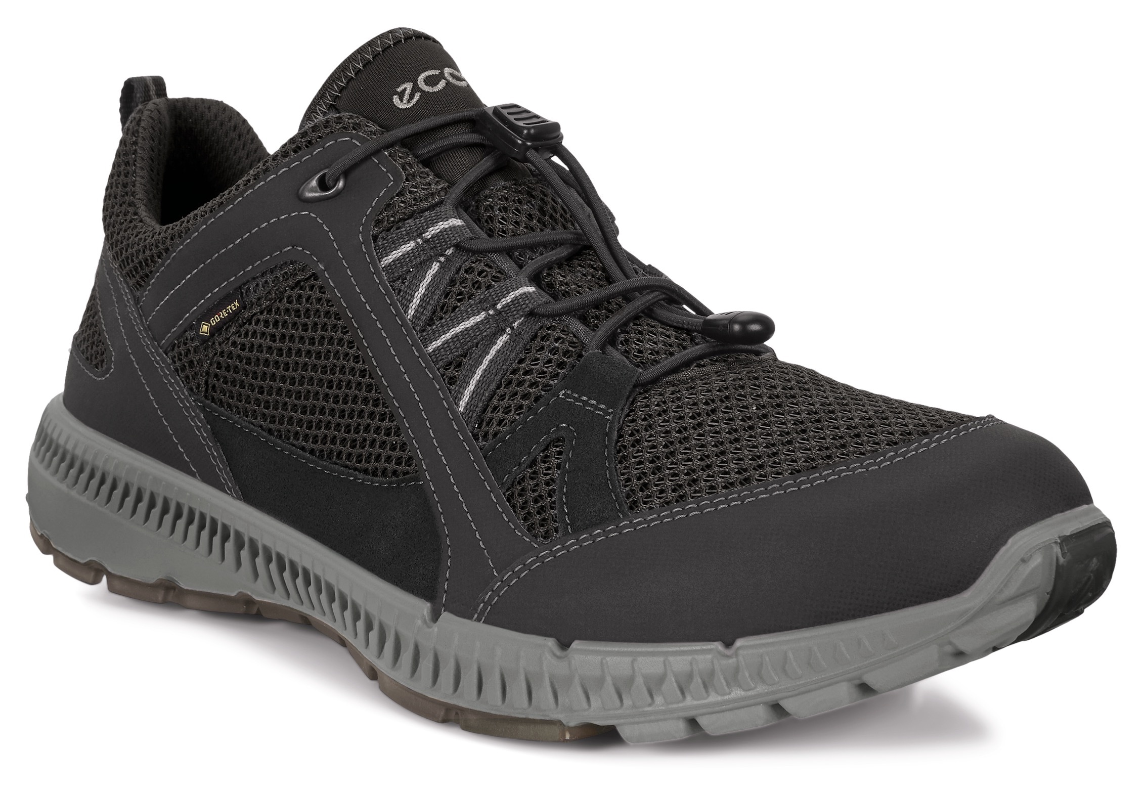 Ecco Sneaker »TERRACRUISE 2 M« su GORE-TEX