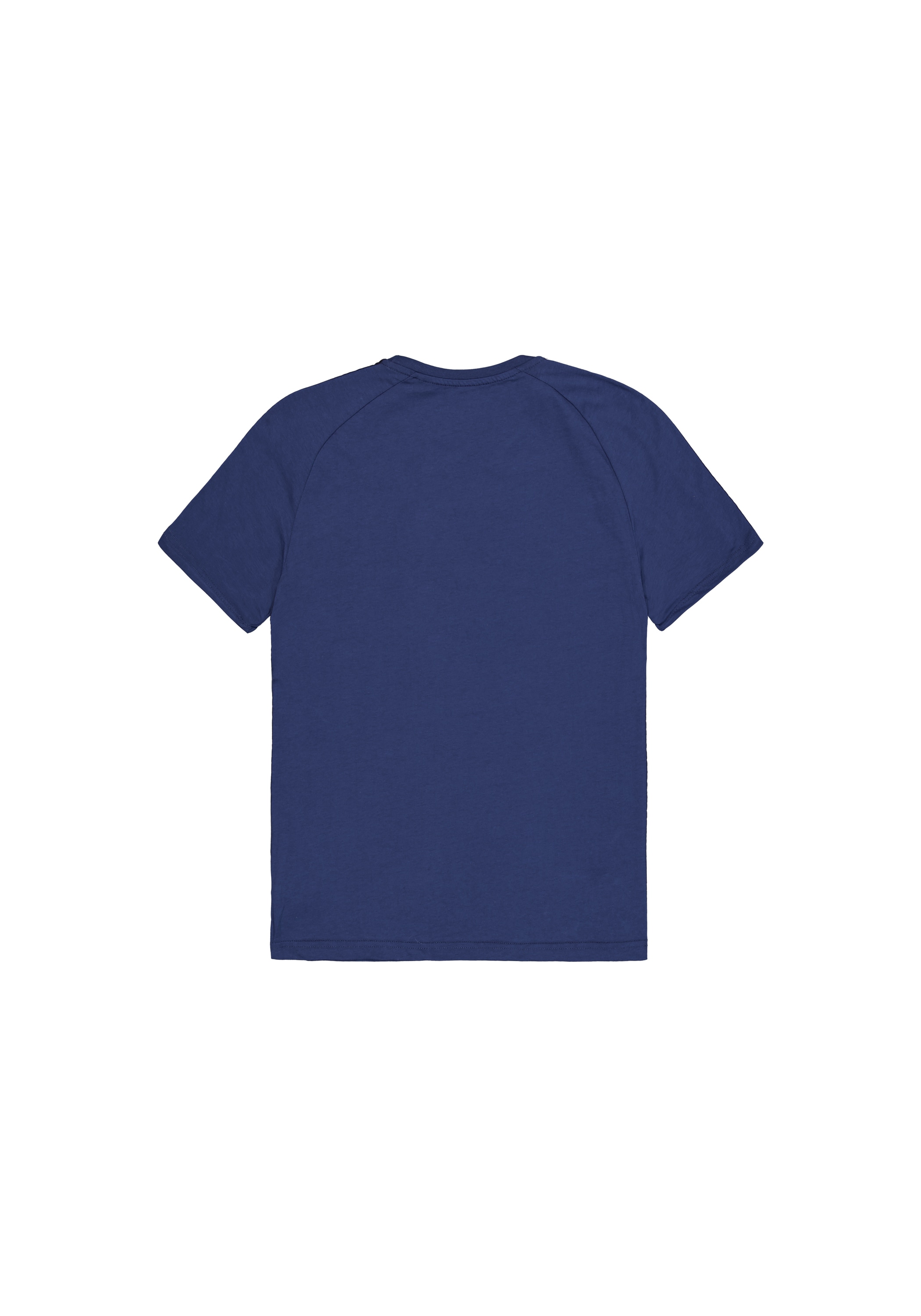 Alpha Industries T-Shirt »AI Tape T-Shirt T-Shirt«