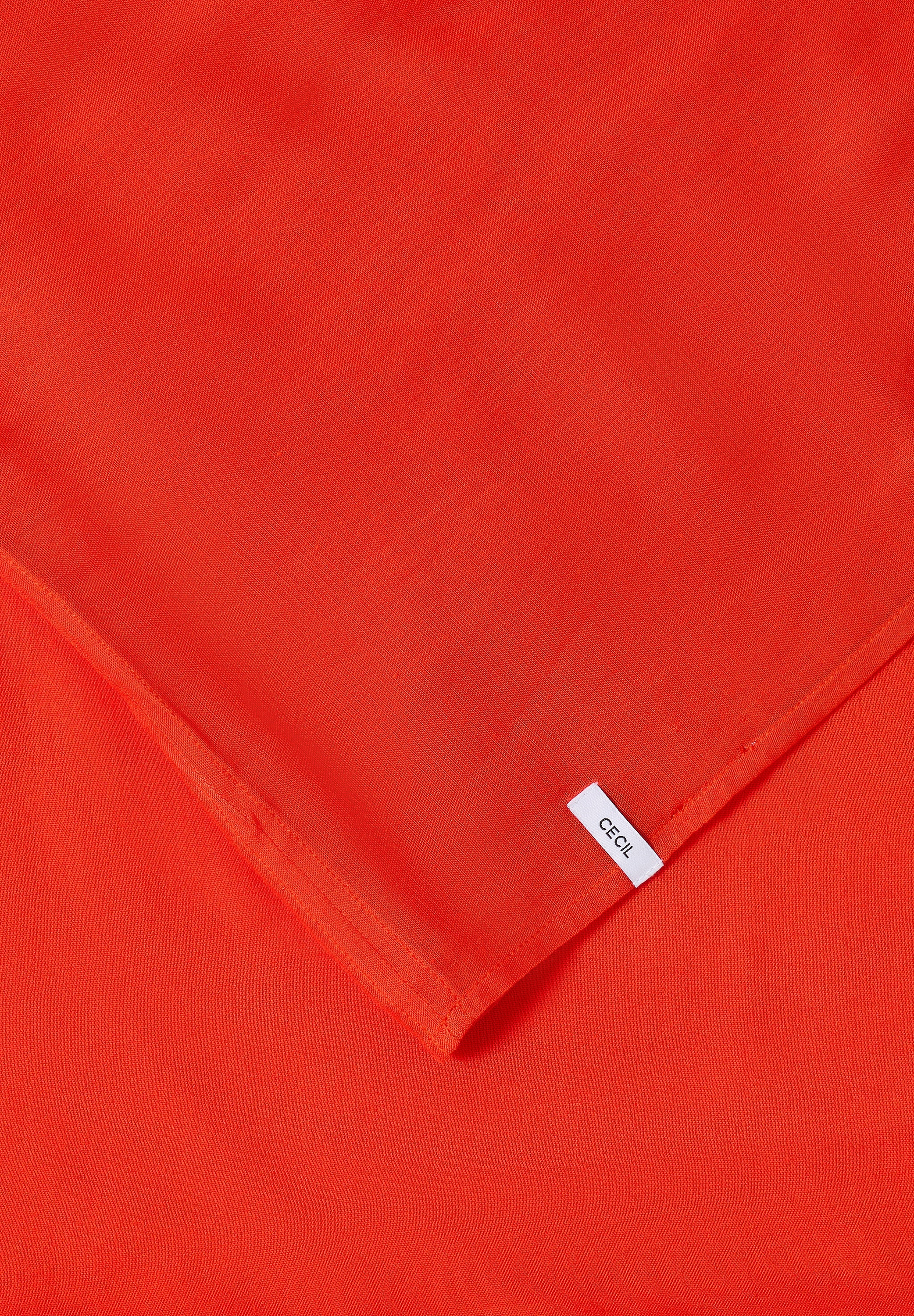 Cecil Loop Basic