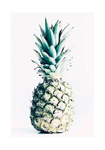 Poster »Pineapple«, Obst, (1 St.)