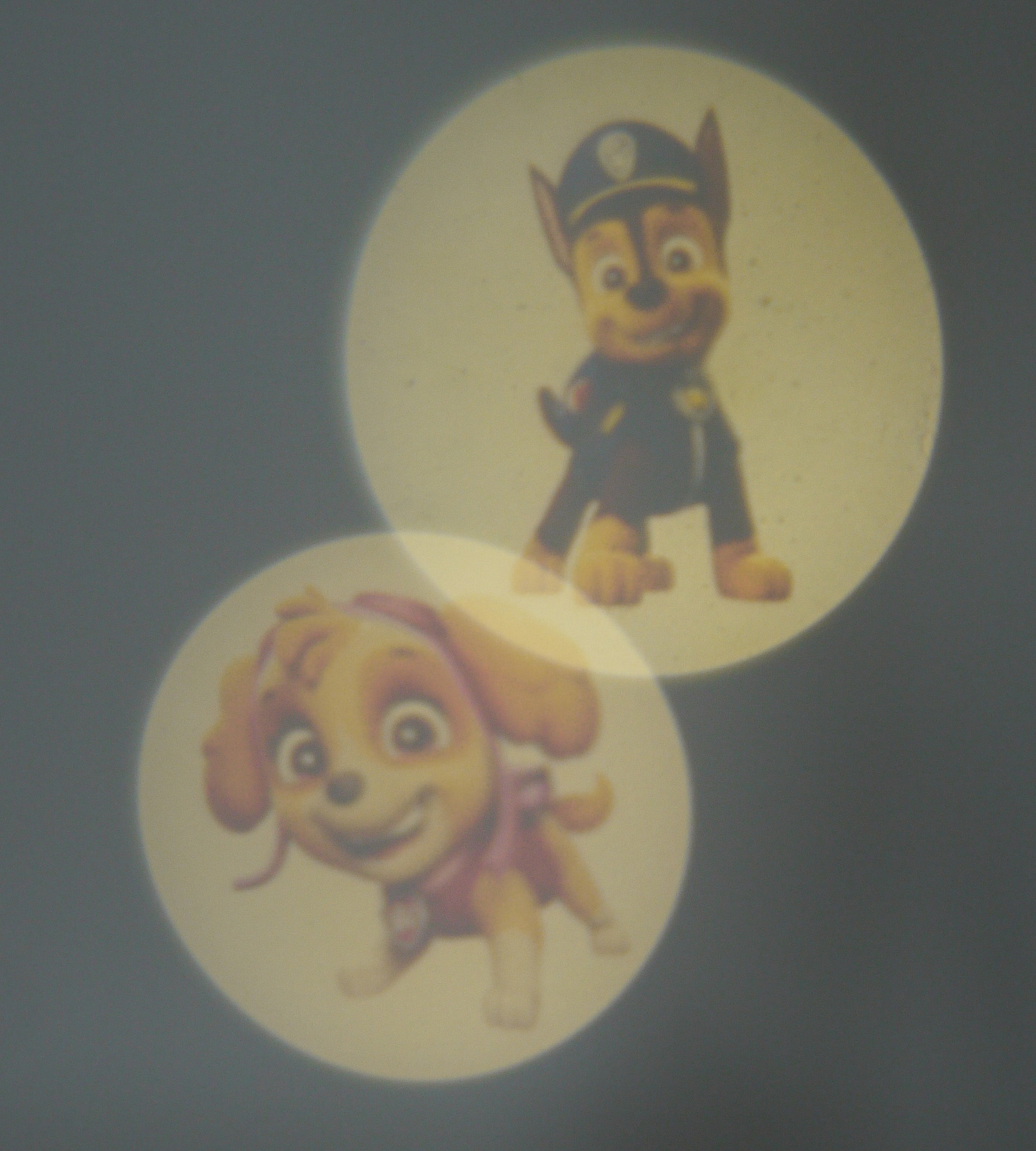 niermann LED Nachtlicht »Paw Patrol«, 1 flammig-flammig, Set Paw Patrol 2  (1 x Stecker-Nachtlicht, 1 x Taschenprojektor) | BAUR