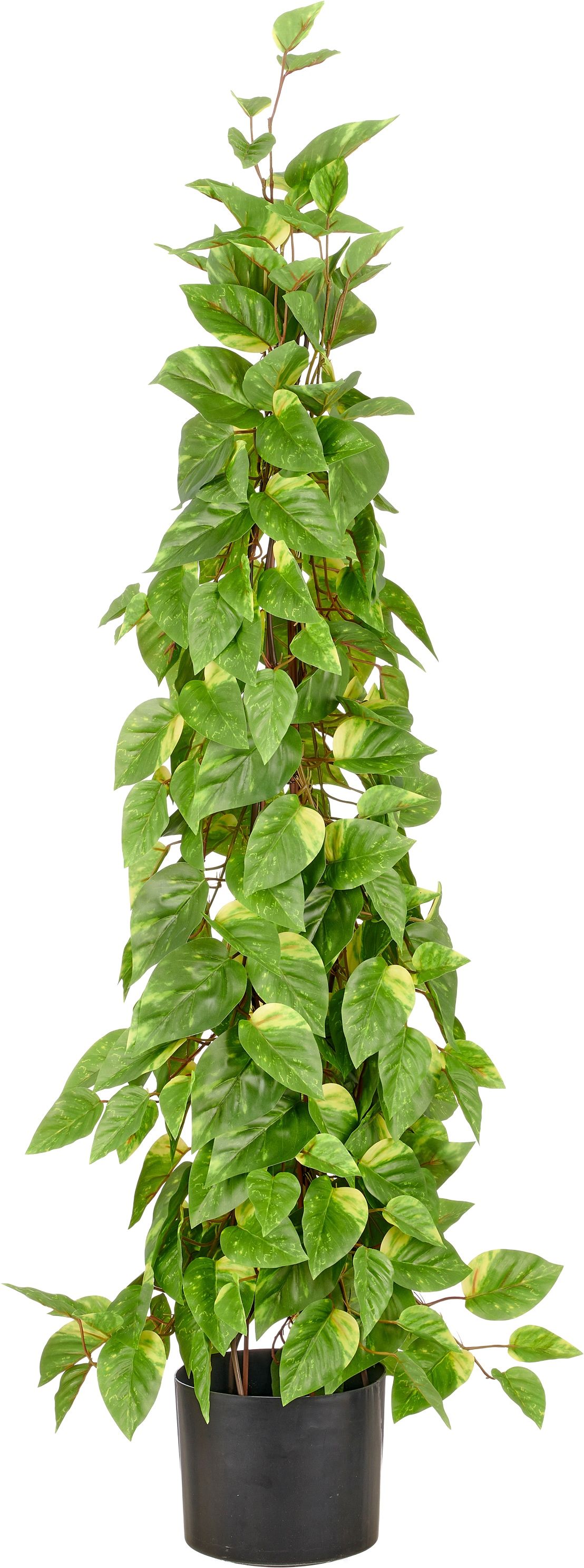 Creativ green Kunstpflanze "Epipremnum" in Pyramidenform