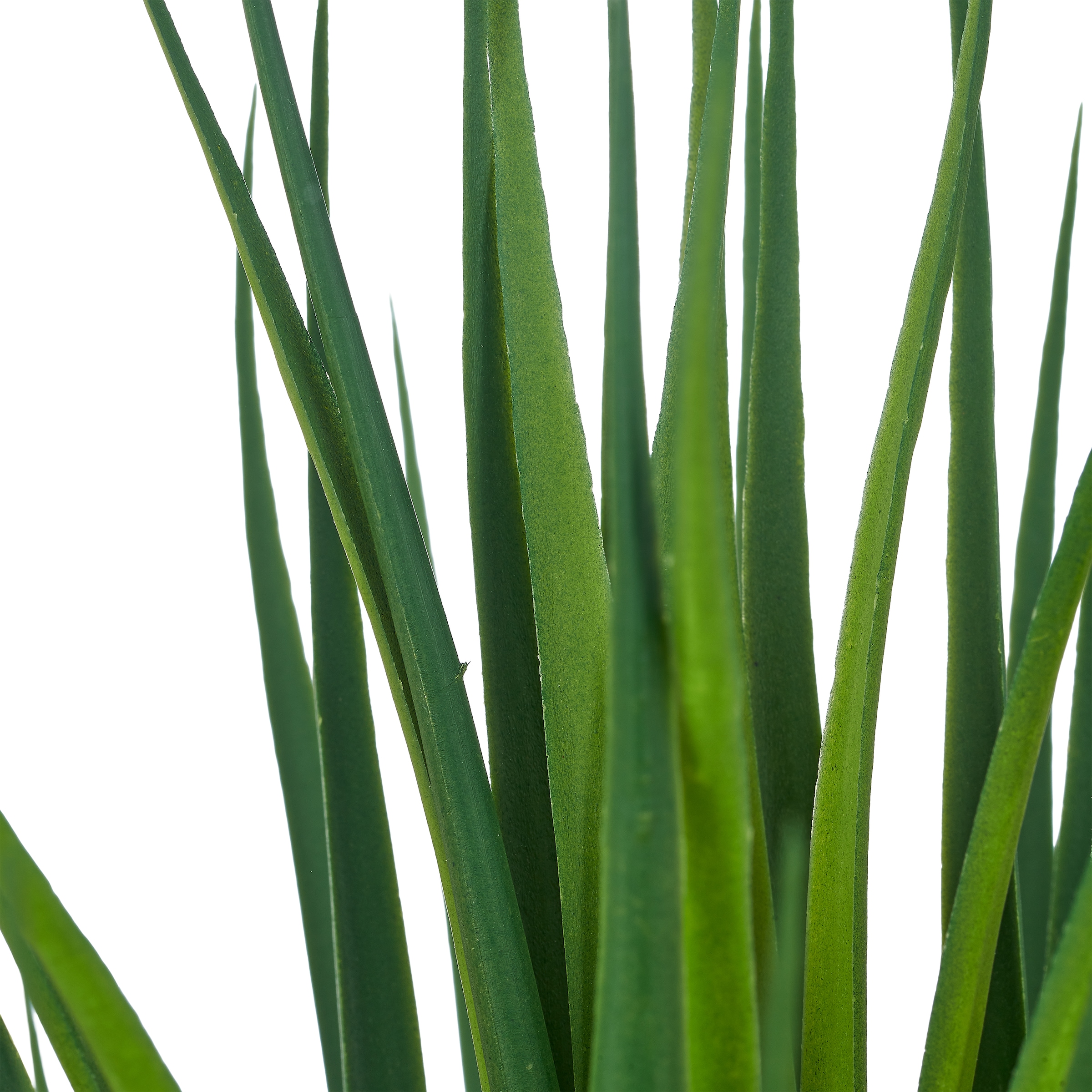 Creativ green Kunstpflanze »Yucca gloriosa« mit naturgetreuem Blattwerk