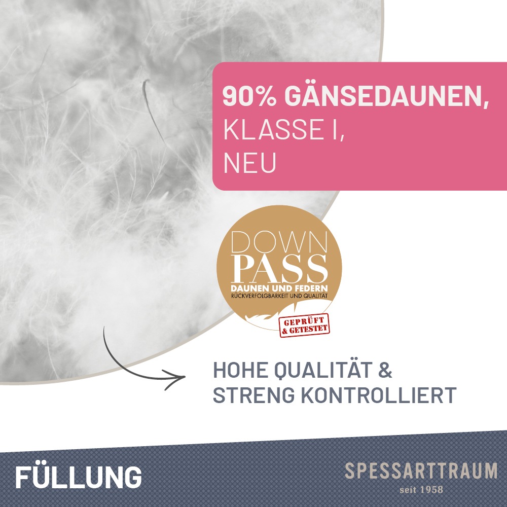 Thumbnail - SPESSARTTRAUM Gänsedaunenkopfkissen "Premium, Kopfkissen 1-tlg. oder 2-tlg. 40x80 oder 80x80 cm" Füllung: 90Gaensedaunen...