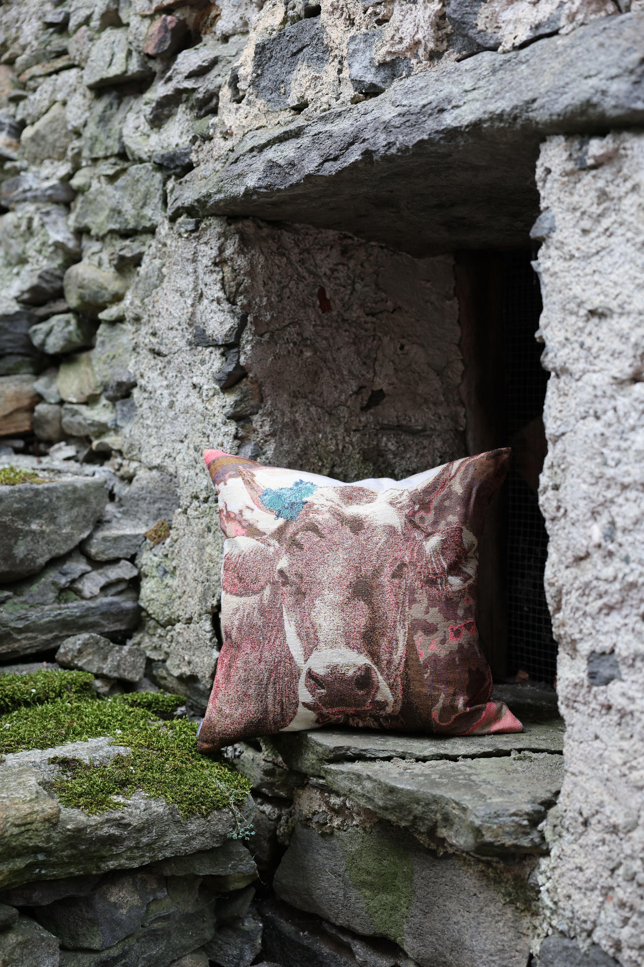 PAD Dekokissen "Happy Animals" Made in Europe, Kissenhülle ohne Füllung, 1 günstig online kaufen