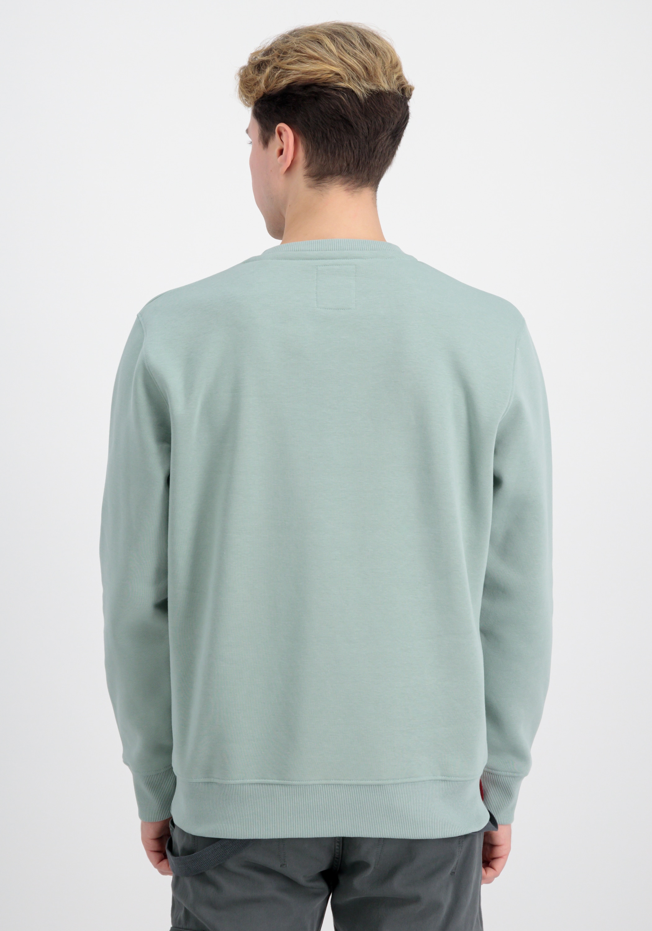 Alpha Industries Sweater »Alpha Industries Men - Sweatshirts Basic Sweatshirt Rubber ML«